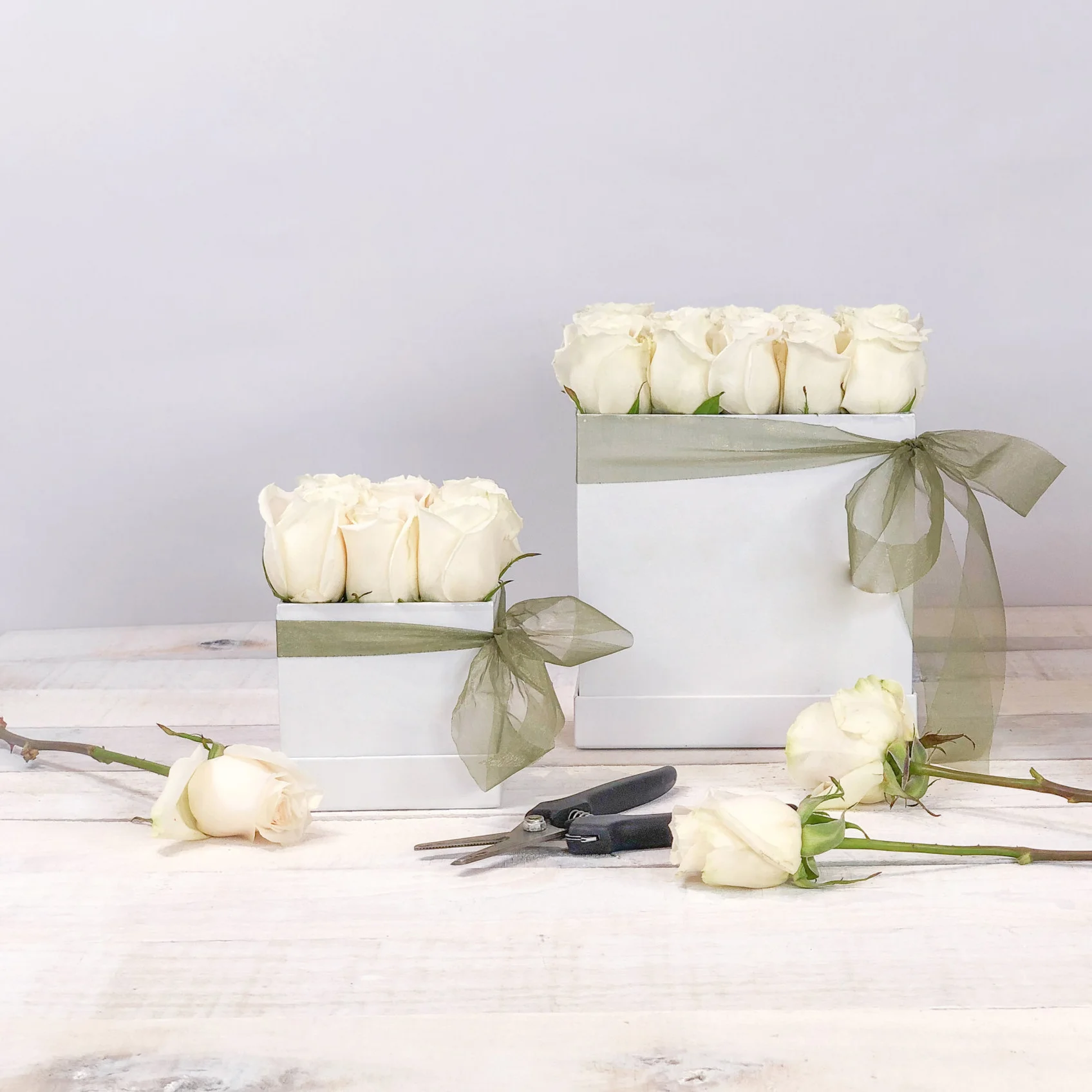 classic_roses_blank.jpg