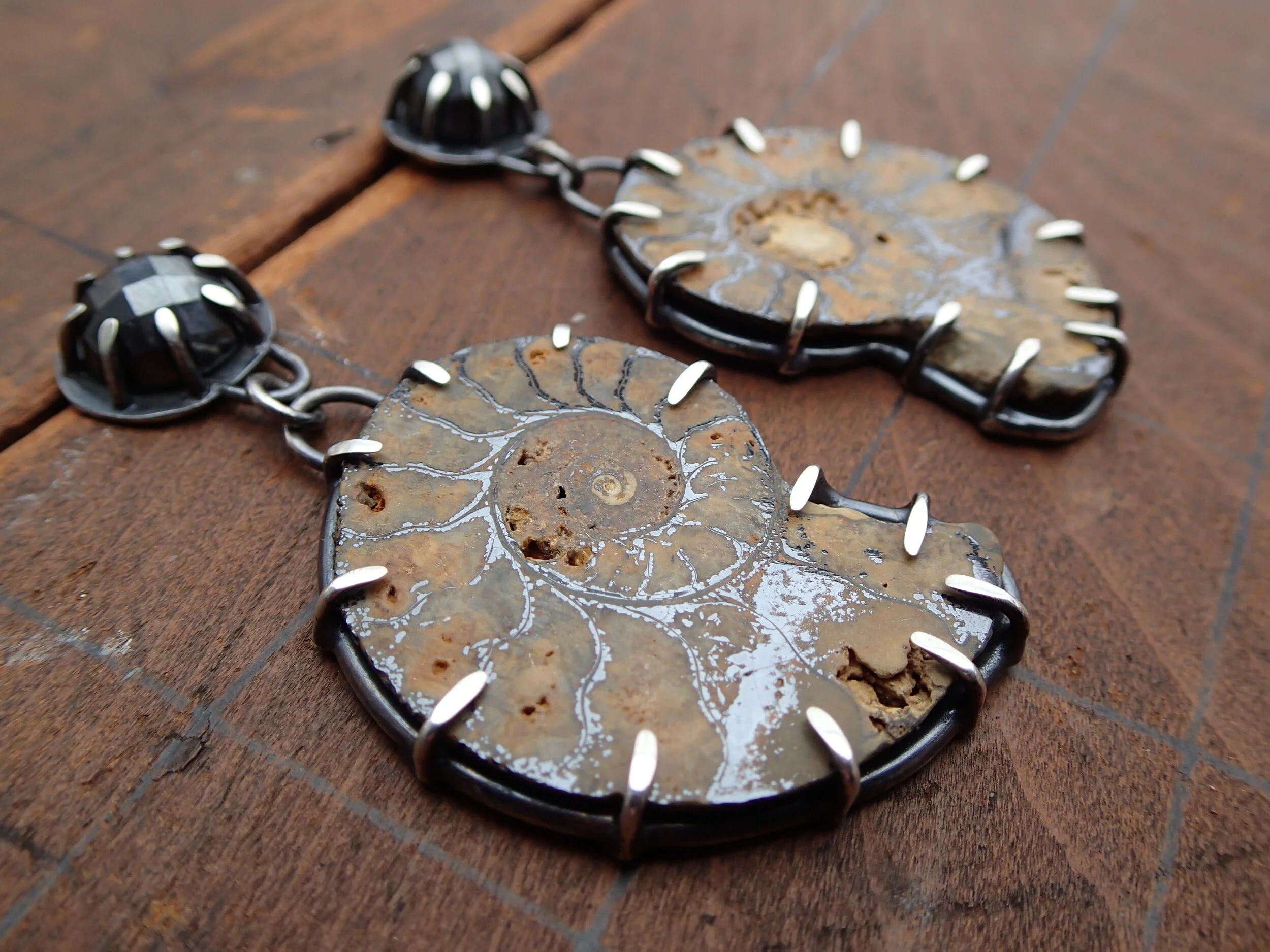 Hematite Ammonites 2.JPG