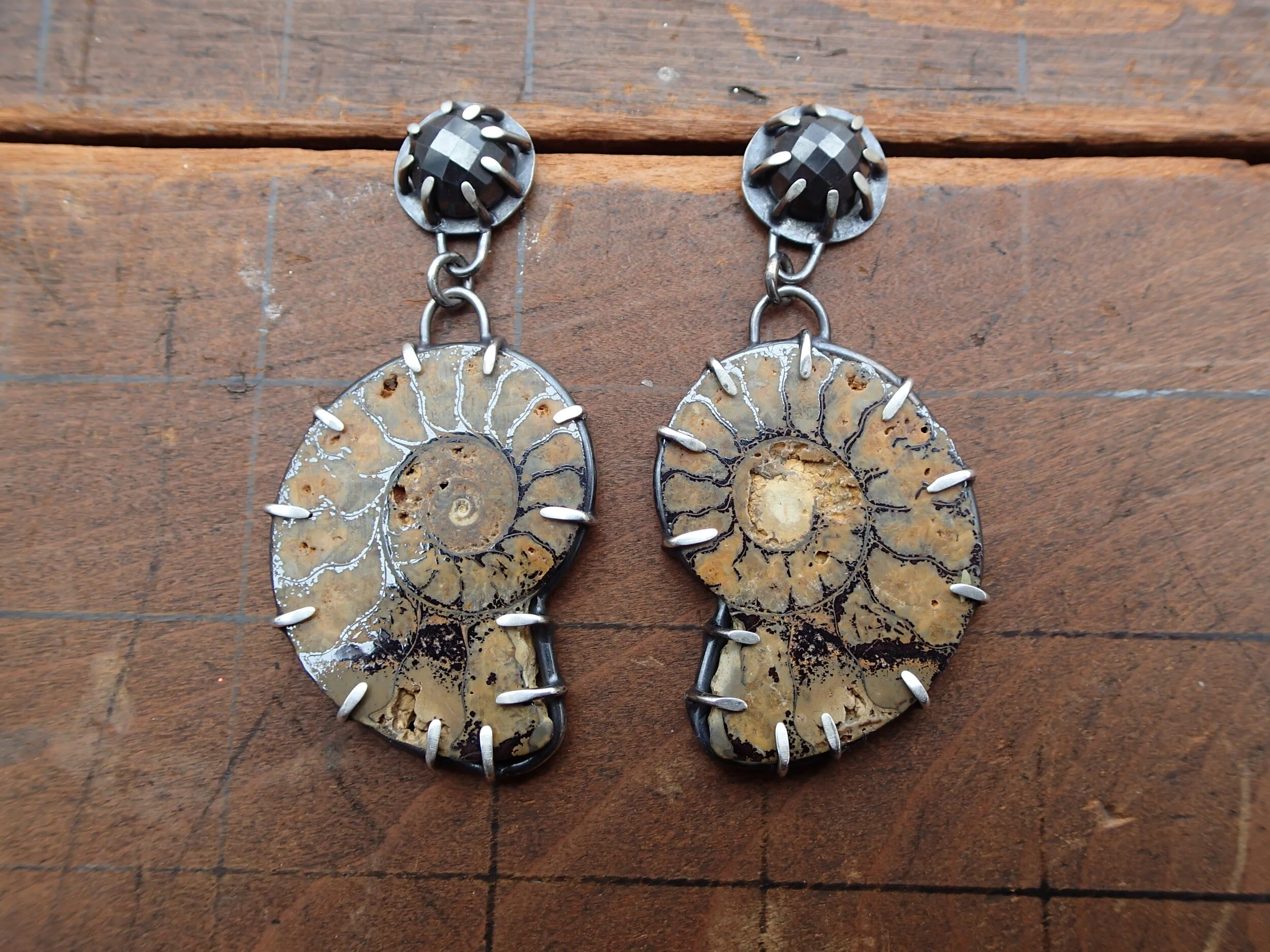 Hematite Ammonites 1.JPG