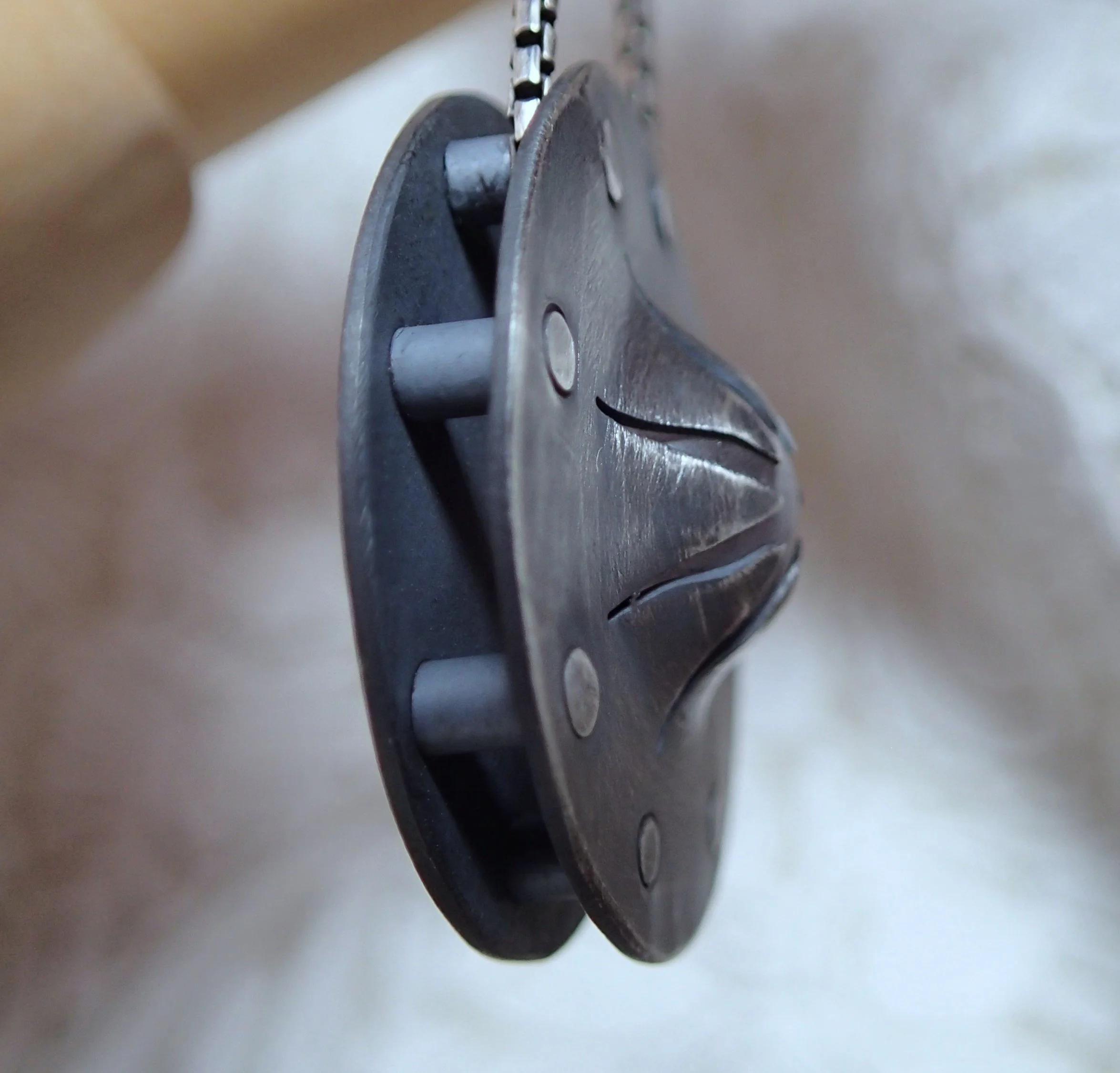 Rosy shield side.JPG