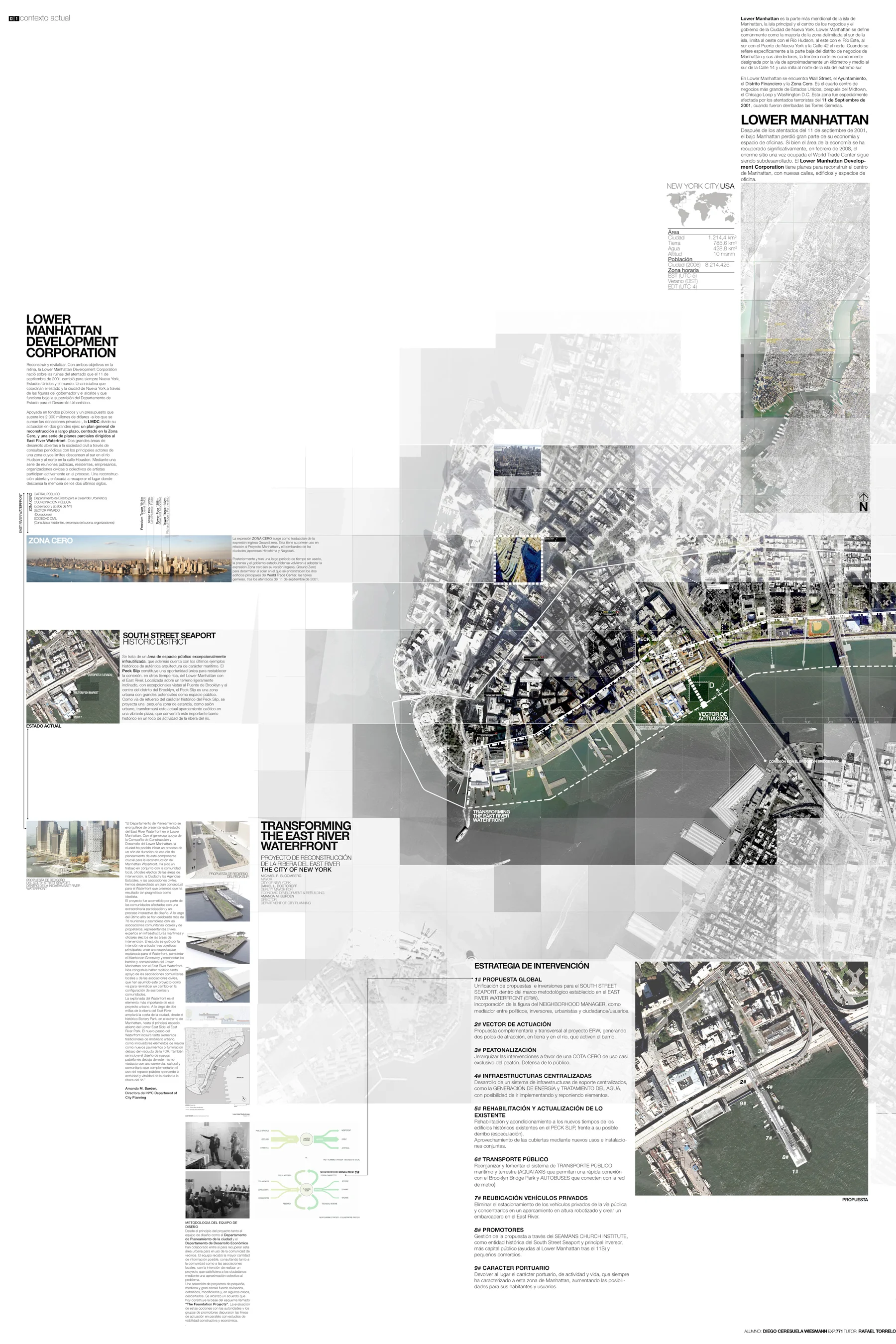 VECTORS OF INTERVENTION/MANHATTAN