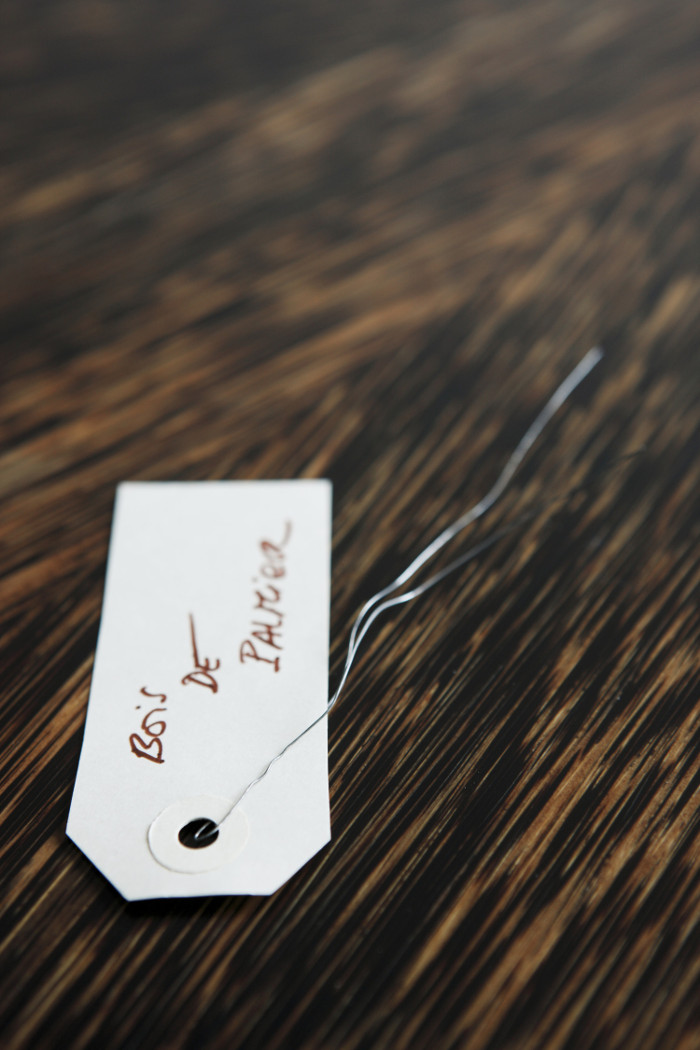 Palm Wood
