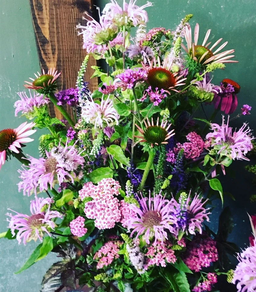 Bee balm bouquet.JPG