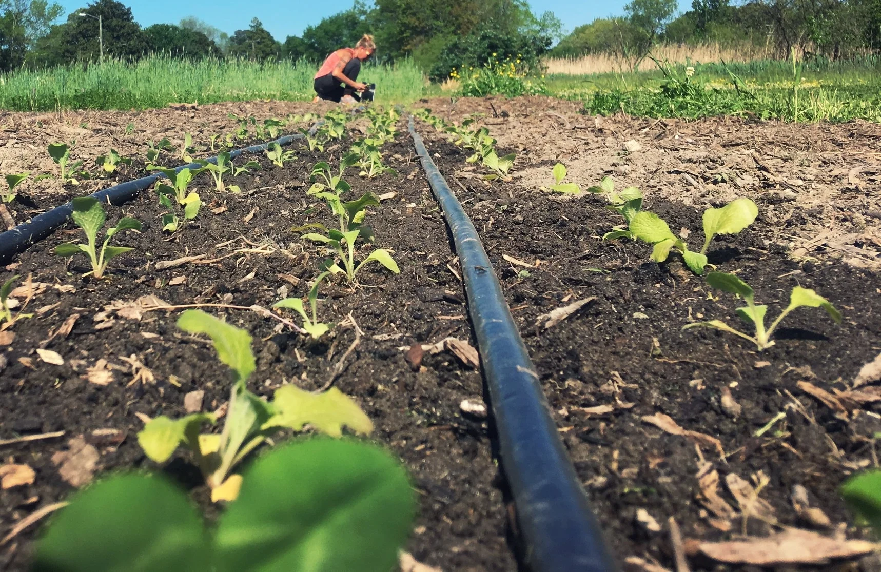 Me planting.JPG