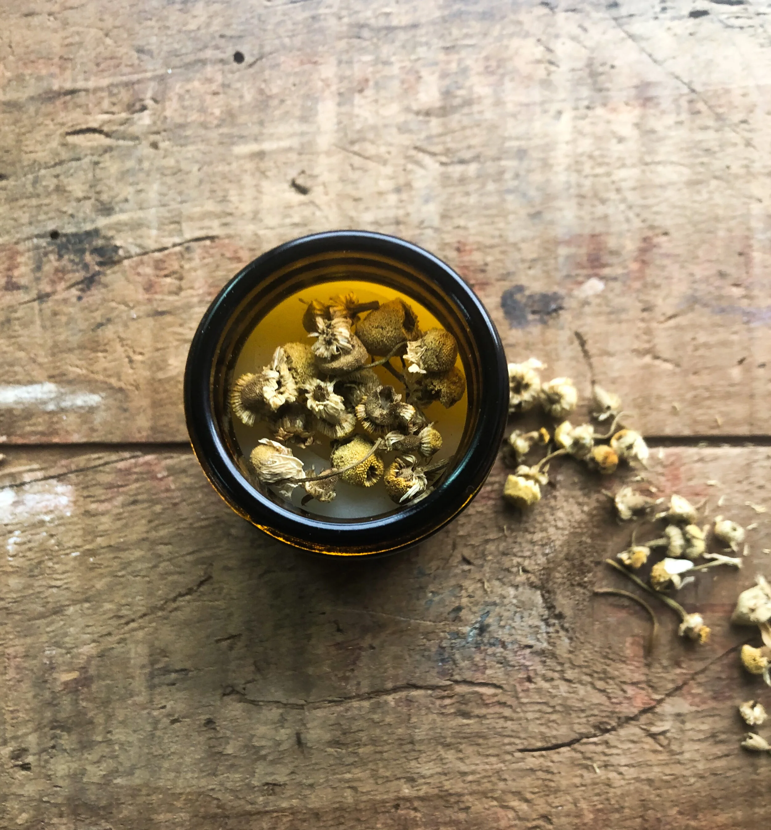 Chamomile and aloe salve opened.JPG