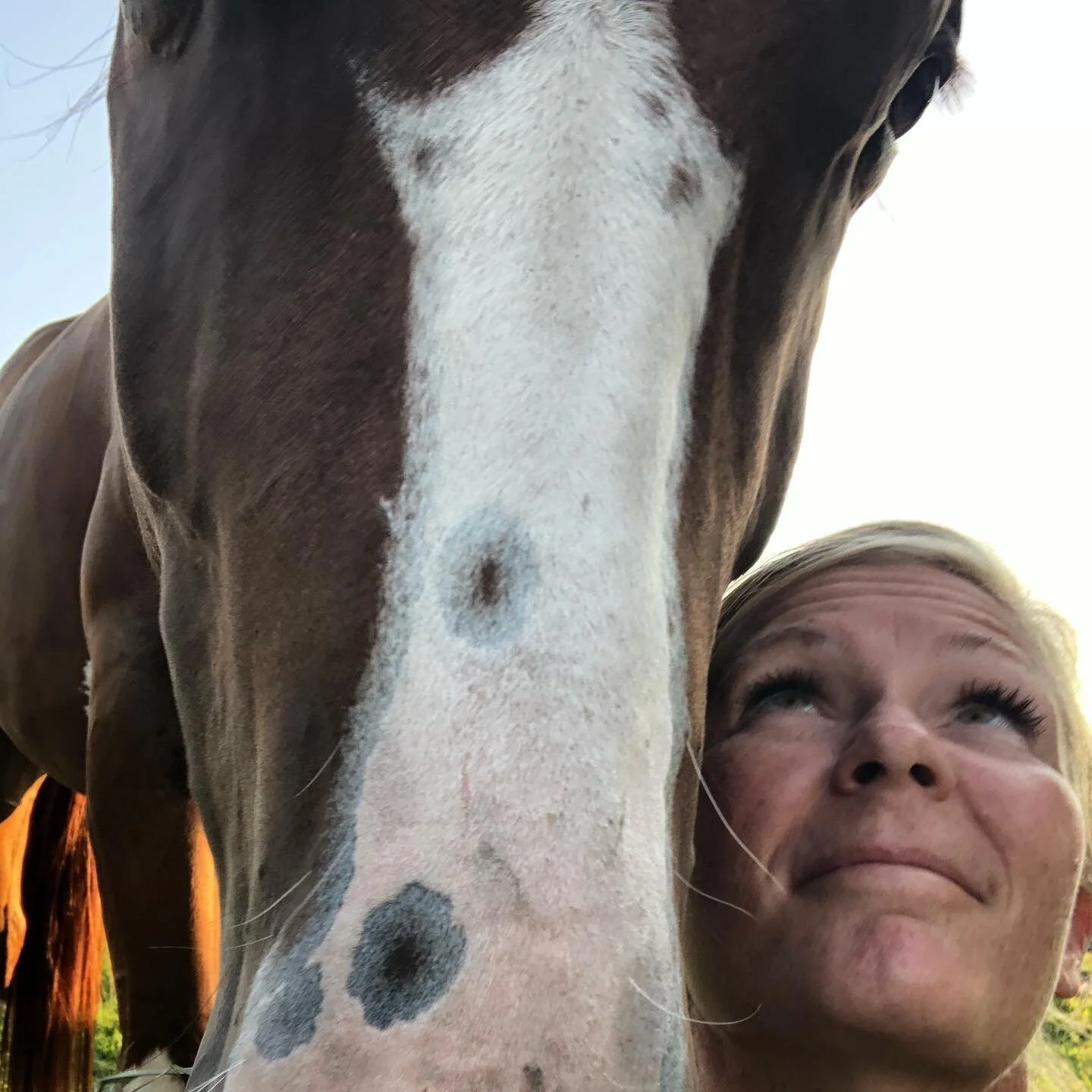 &ldquo;Cheers to all the Rebels out there who care way too much about Art and Truth and Magic to fall in line with the mundane task of fitting in.&rdquo;
~ Scott Stabile