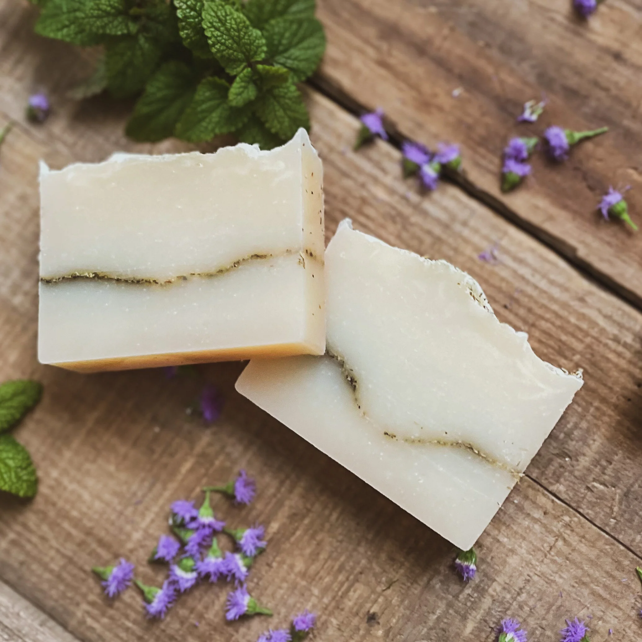 83A14AD4-5E42-46C6-BDE2-73C36D58971F