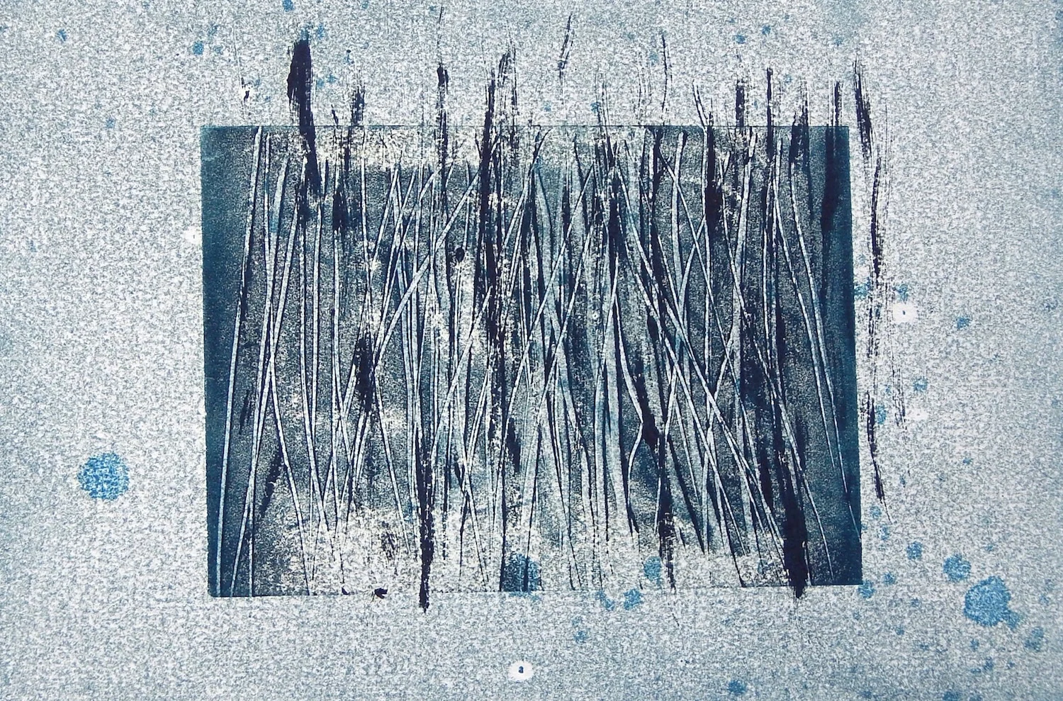 Room in the Reeds