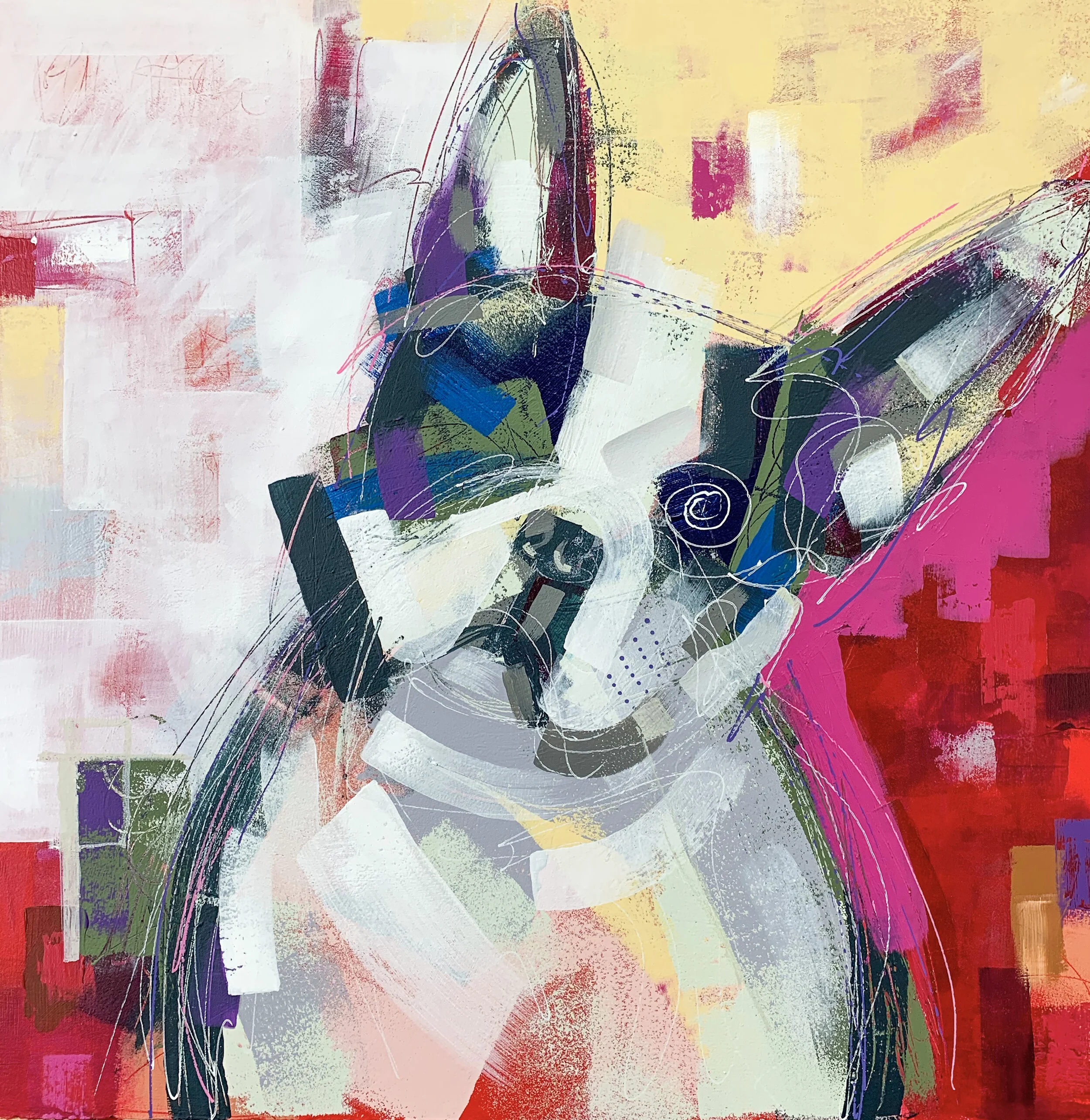 Boston_Terrier.jpg