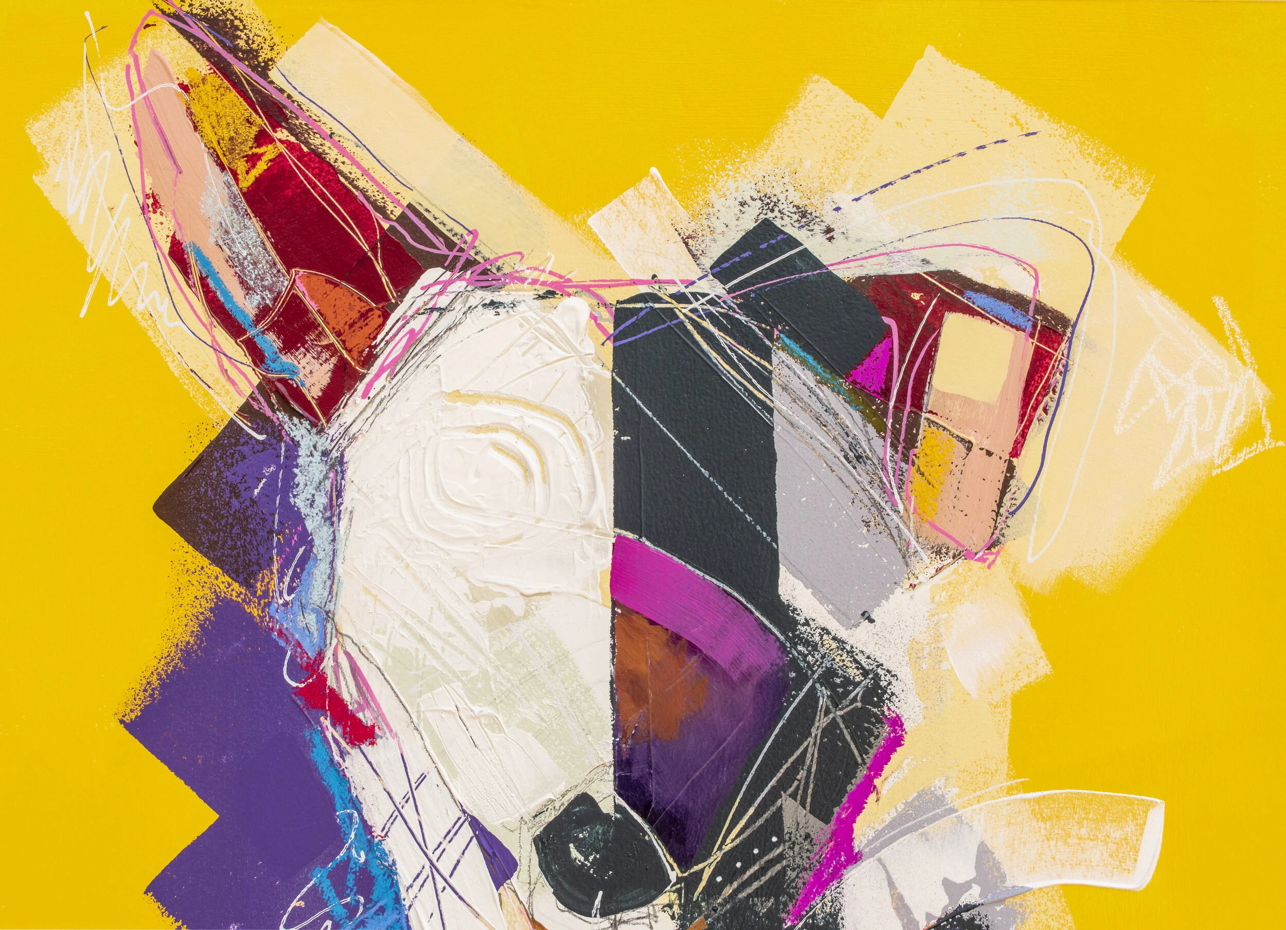 Whippet Close up.jpg