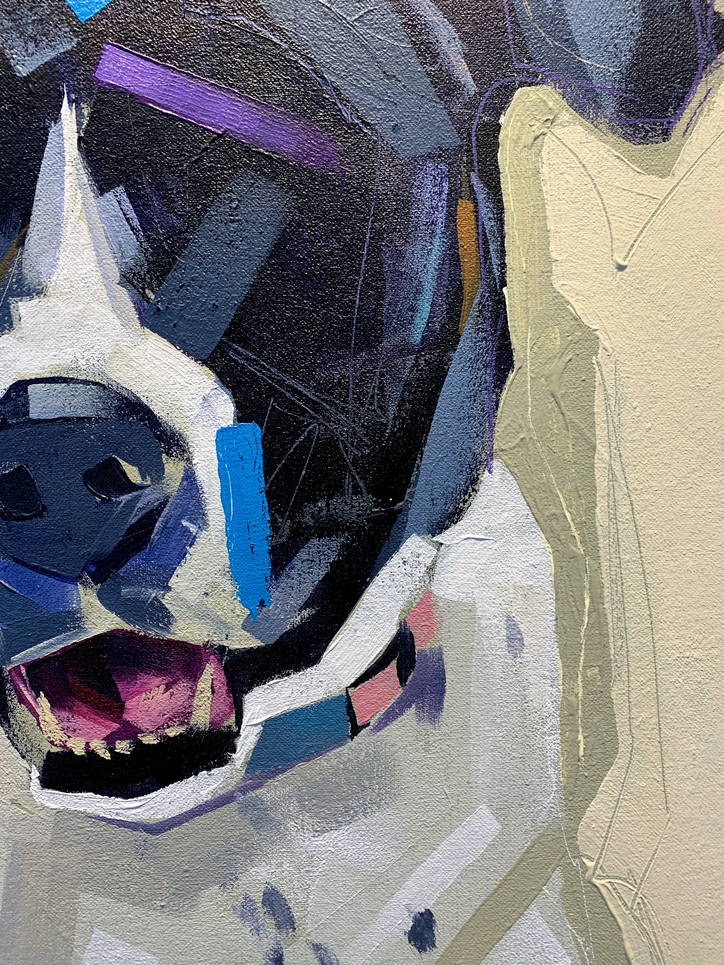 Dax_Closeup1.jpg