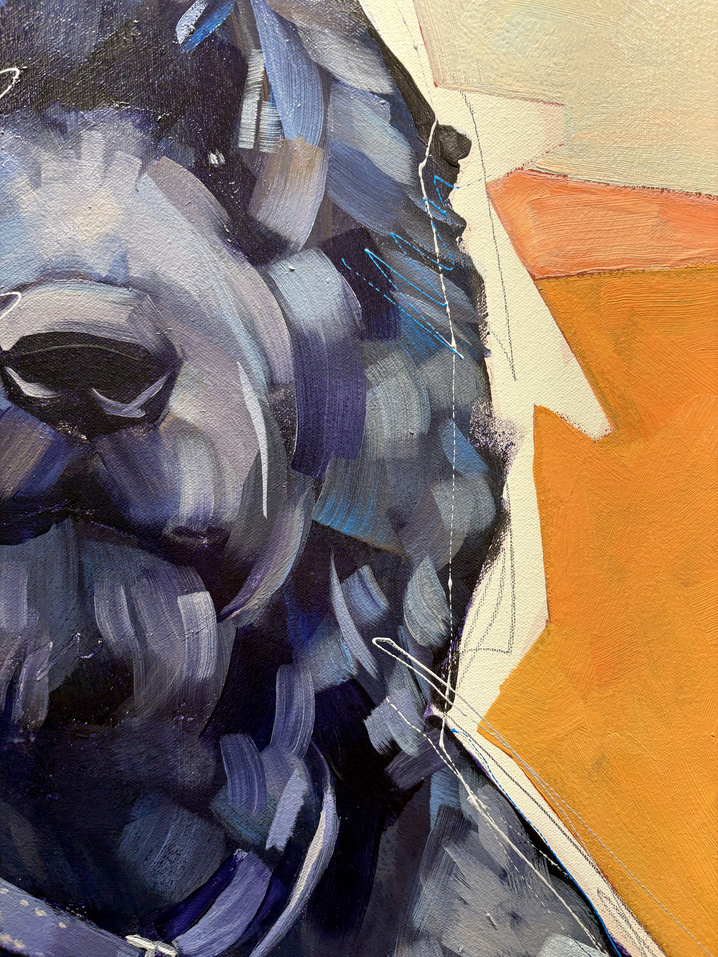 Fred_Closeup2.jpg