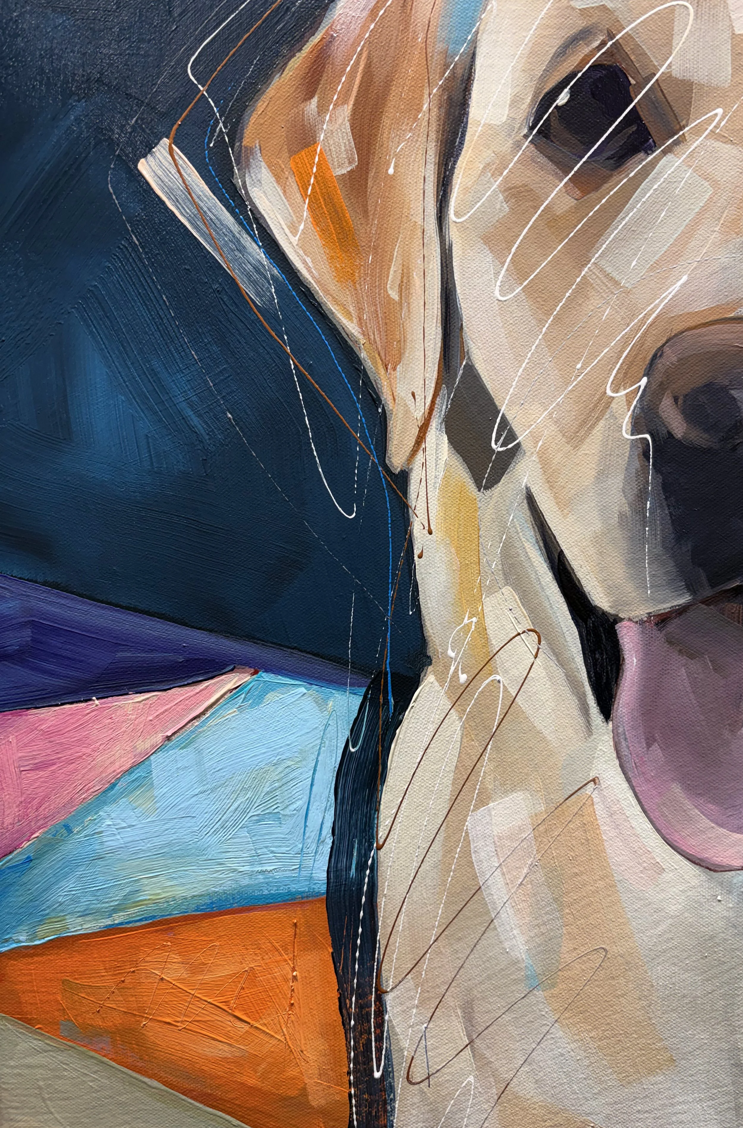 Butterscotch_closeup1A.jpg
