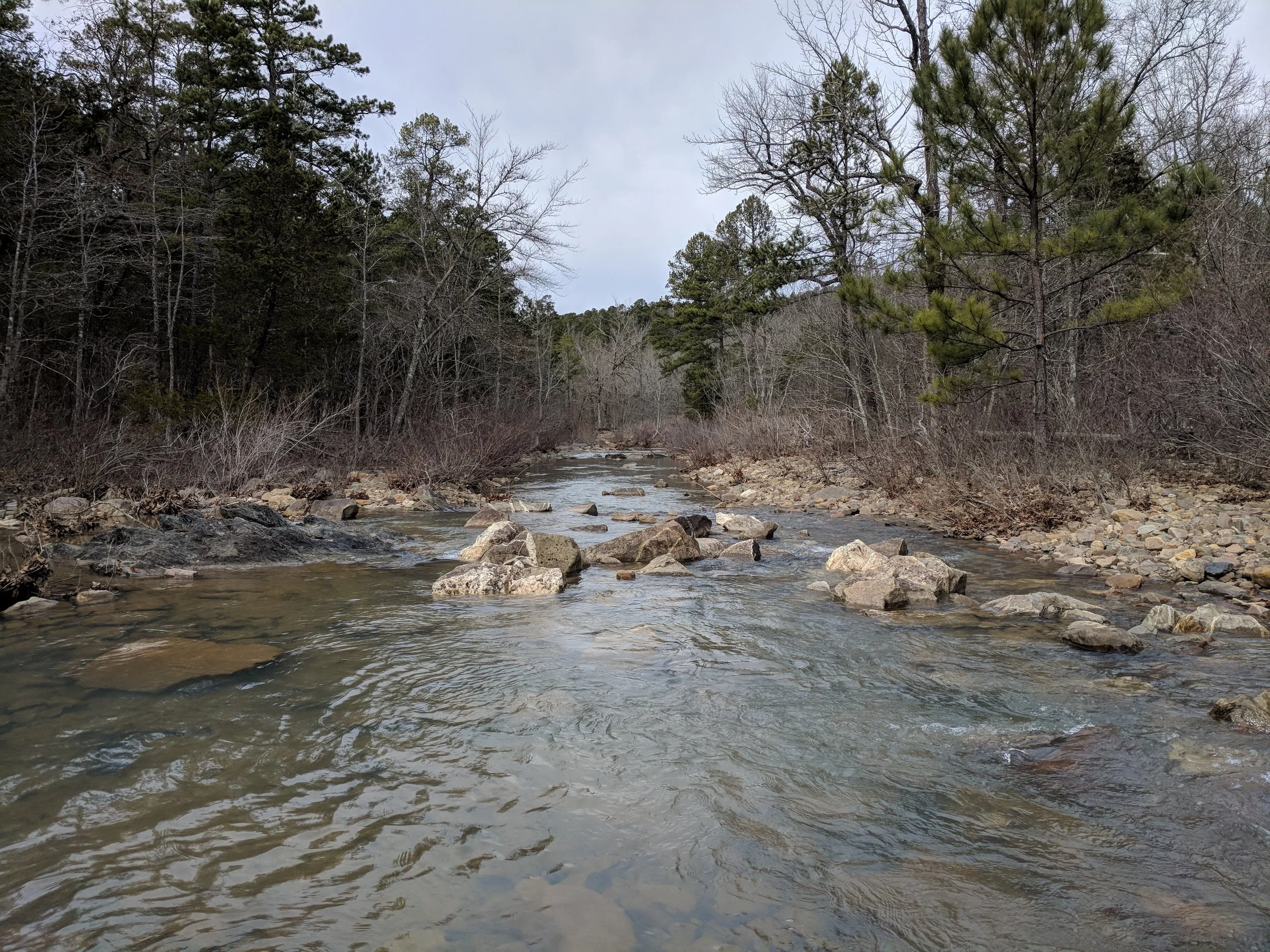 IMG_20180203_124729.jpg