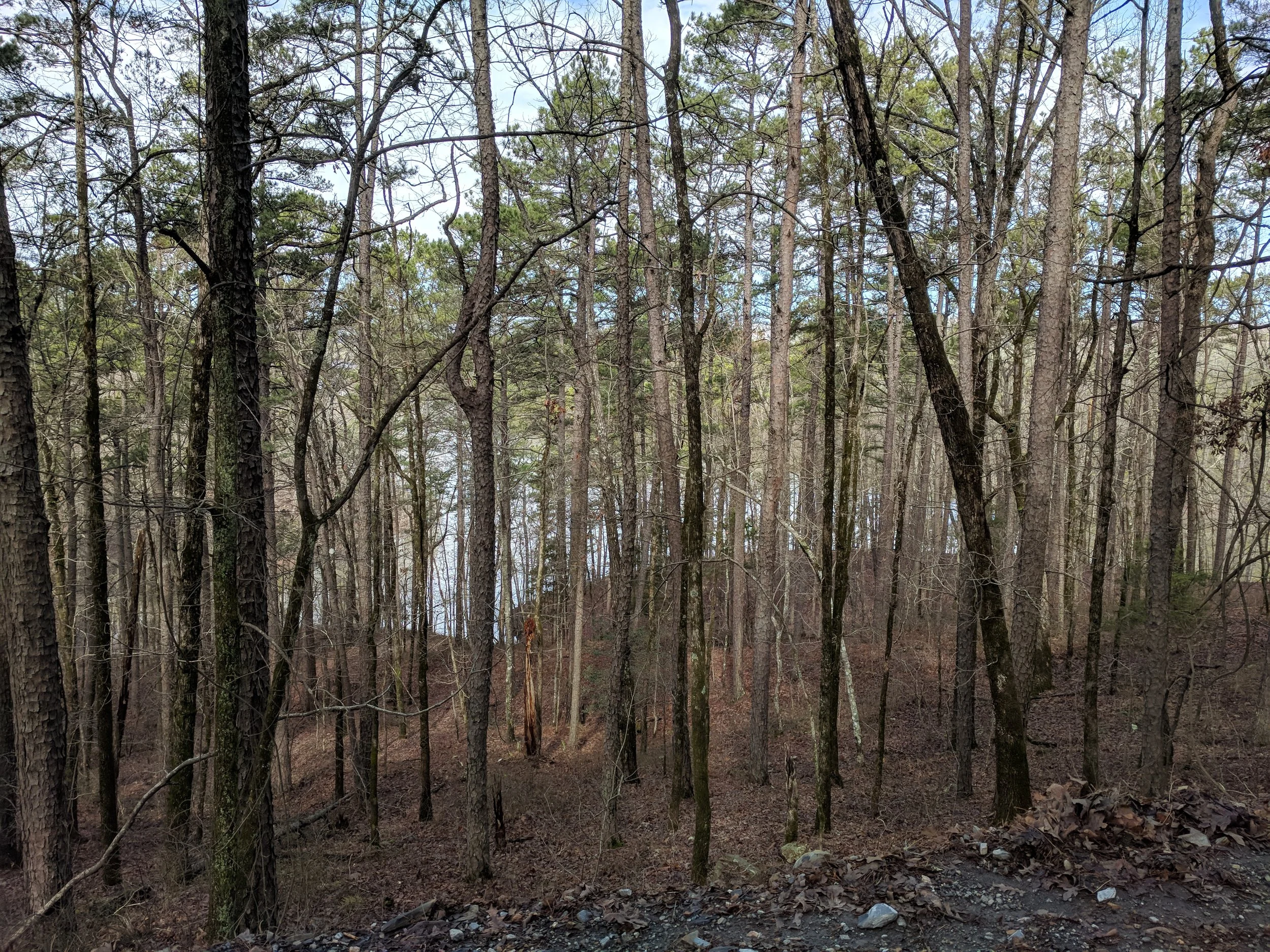 IMG_20180225_102710.jpg