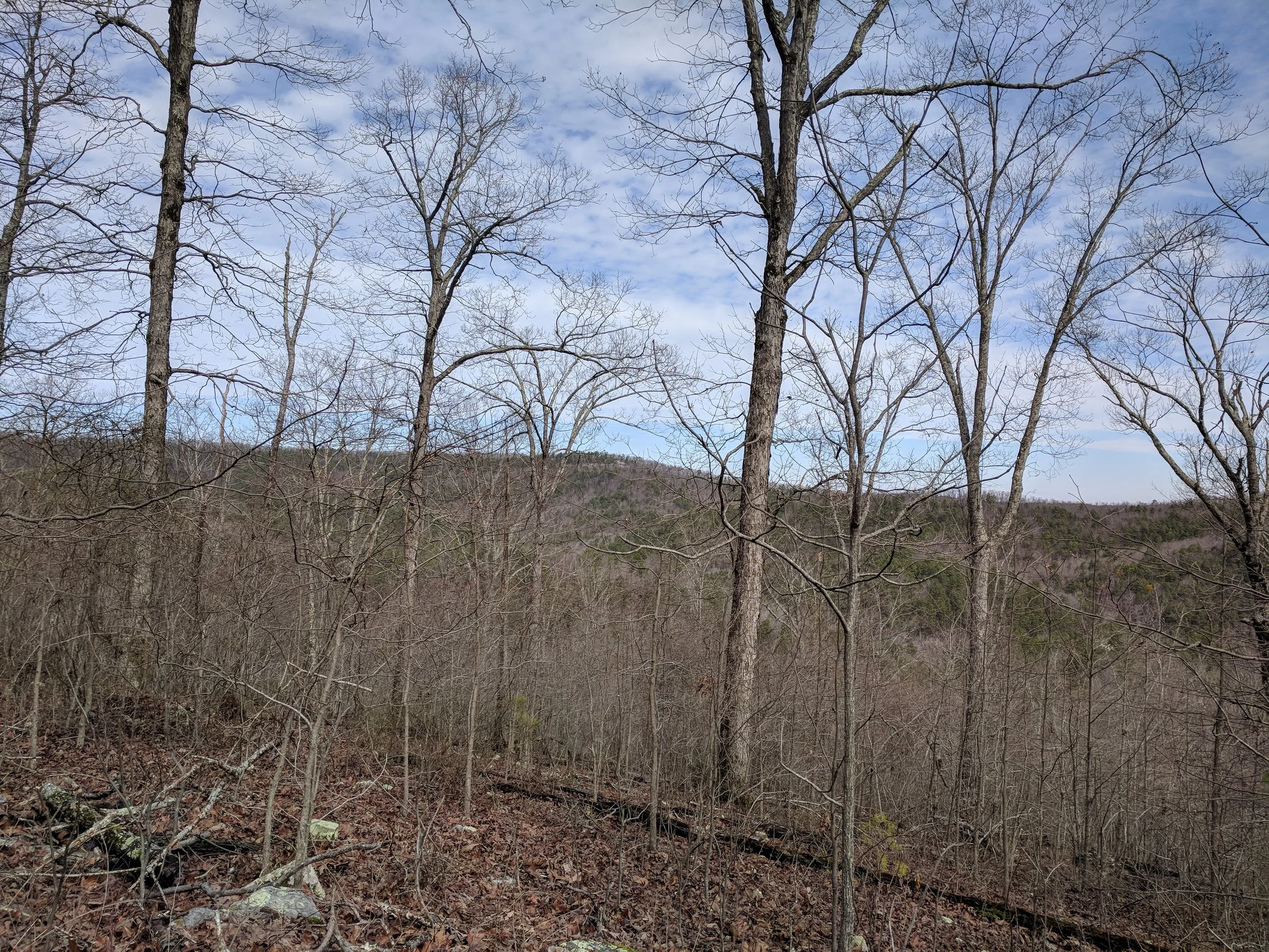 IMG_20180225_104907.jpg