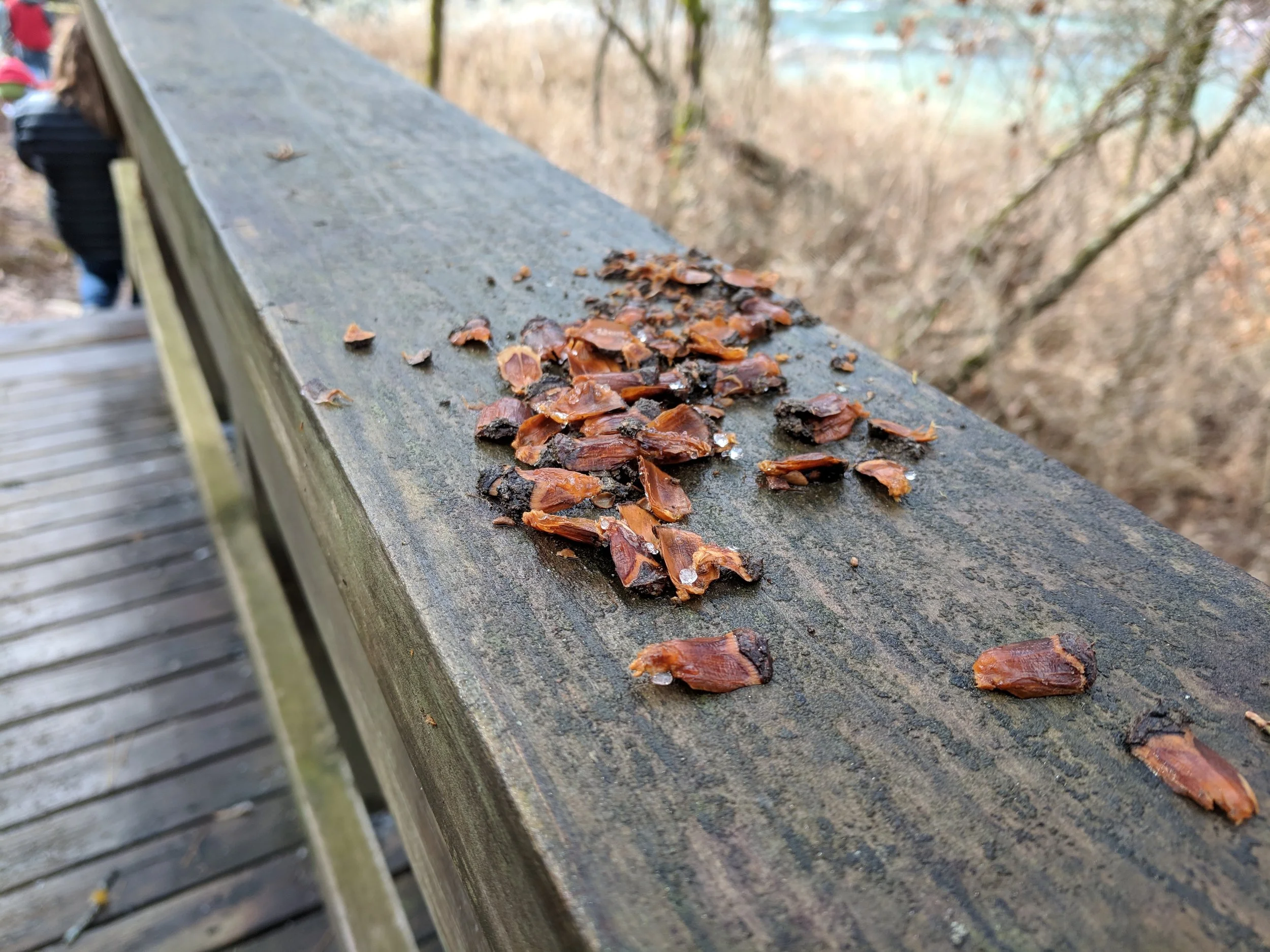 Cossatot Falls Campground