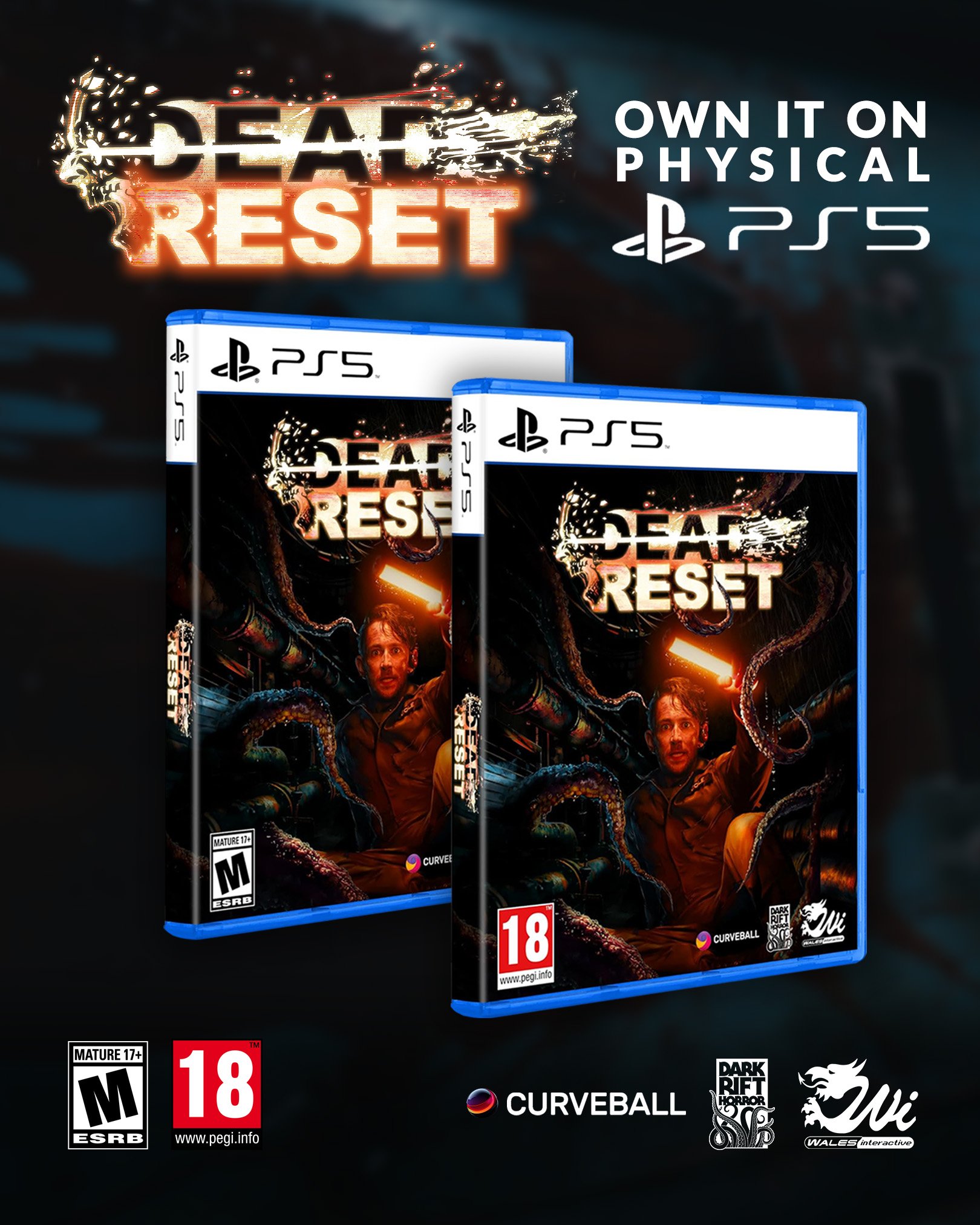 DeadResetPS5Physical.jpg