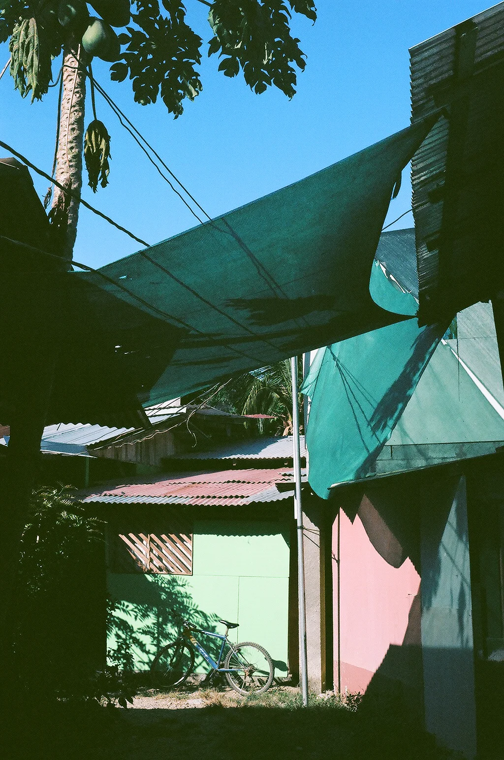 03110026.jpg
