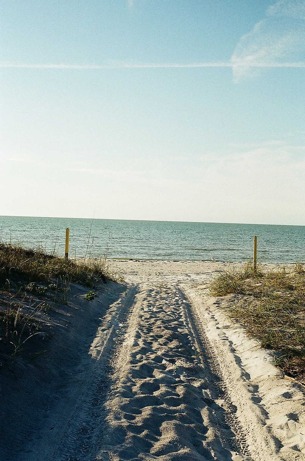 ANMZ7477.jpg