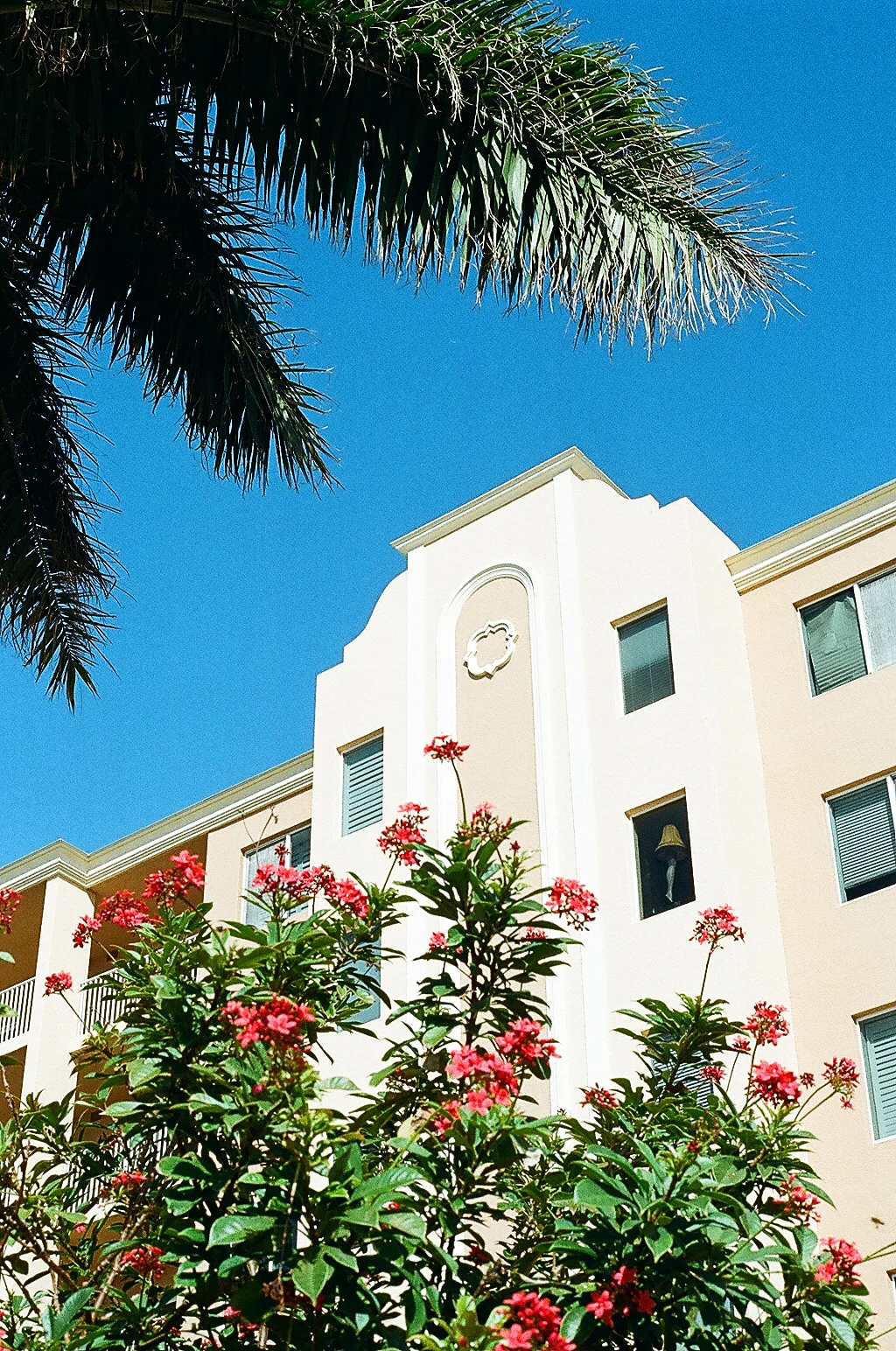 IDNV4334.jpg