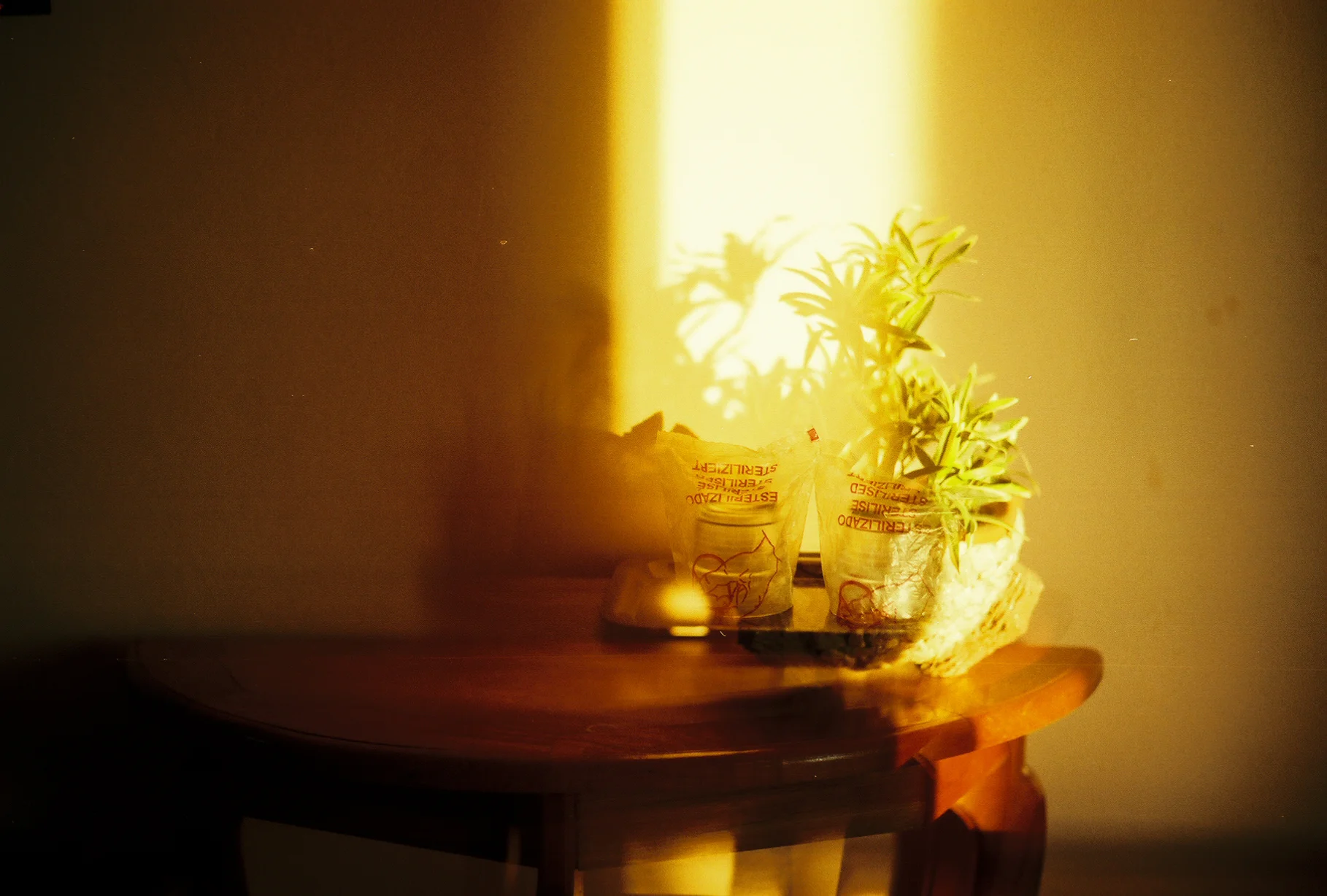 0123521_0123521-R2-038-17A.jpg