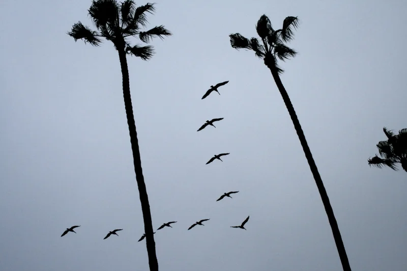 57_fly-thru.jpg
