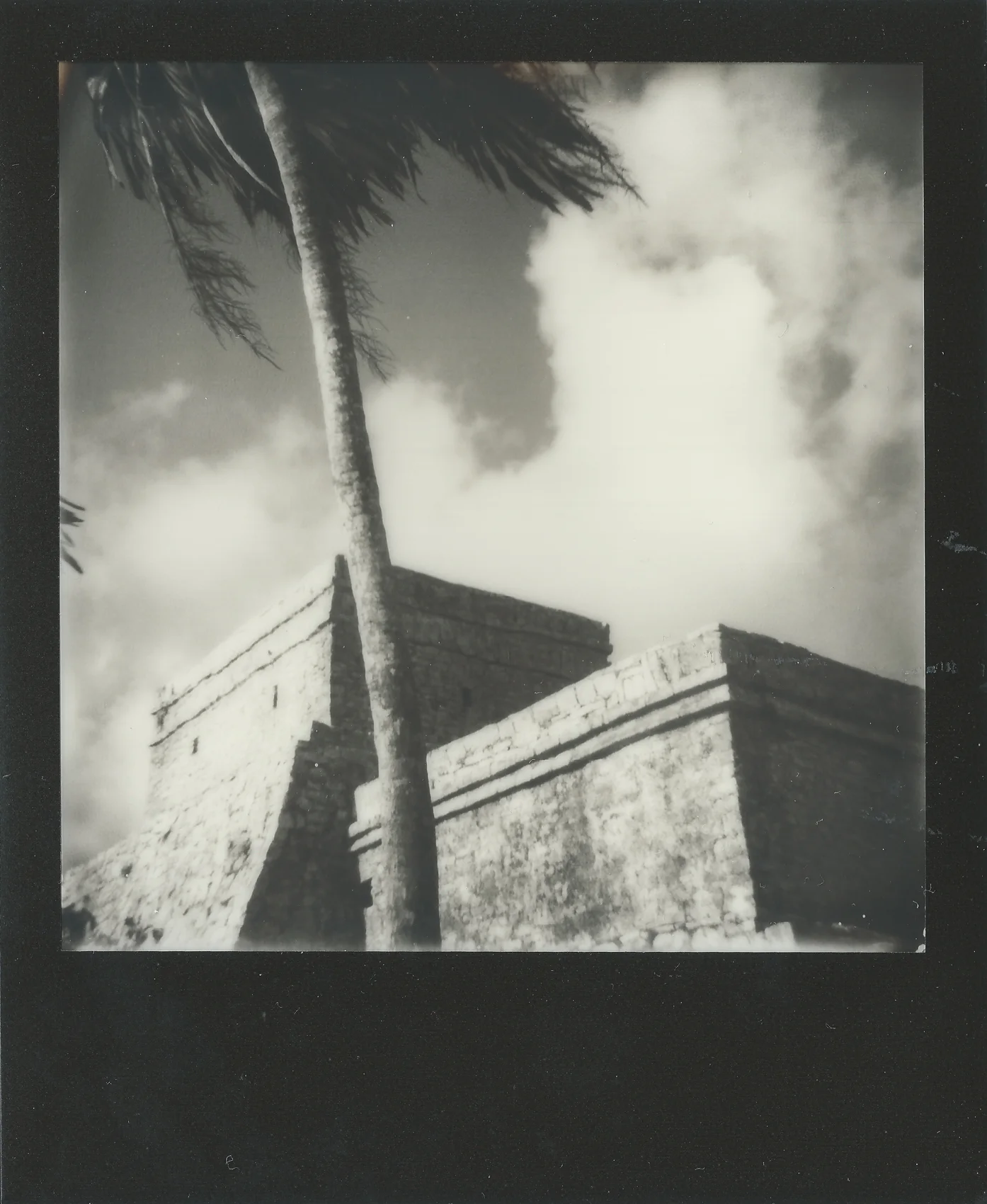 tulum-ruins-palm.jpg