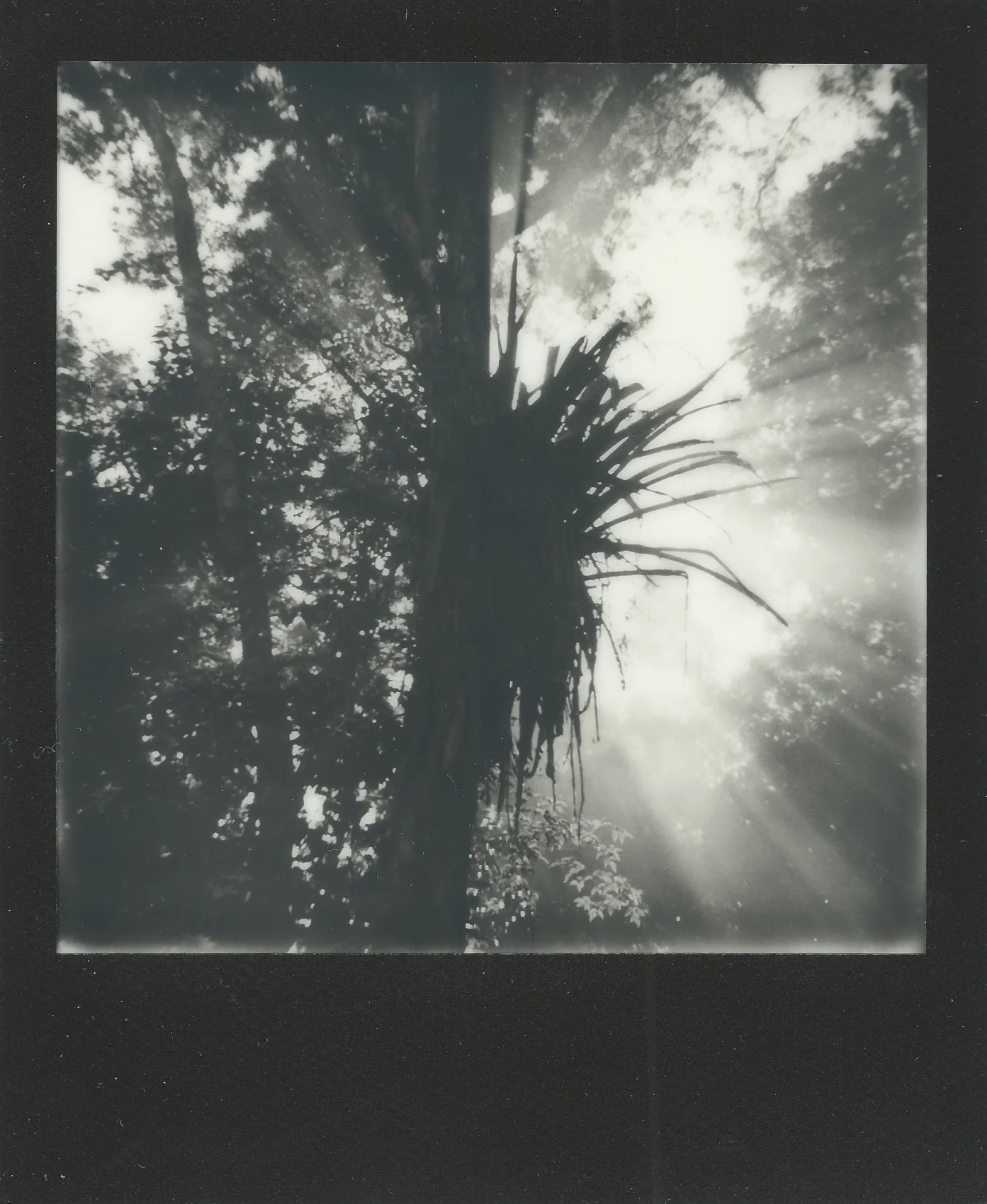 tulum-smoke.jpg