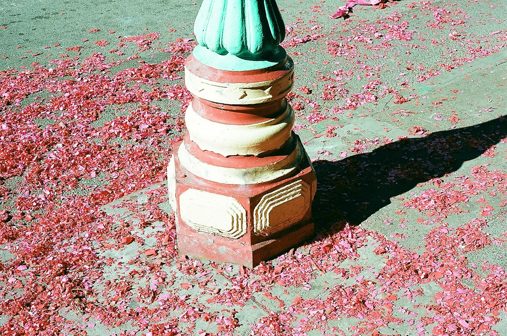 31480012.jpg