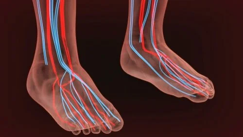 peripheral arterial disease diabetic foot care doctor