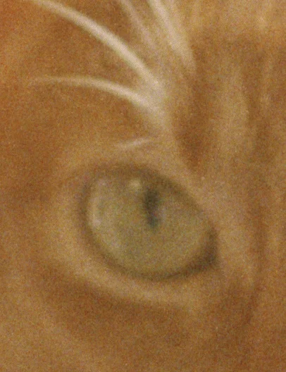 h_406.jpg