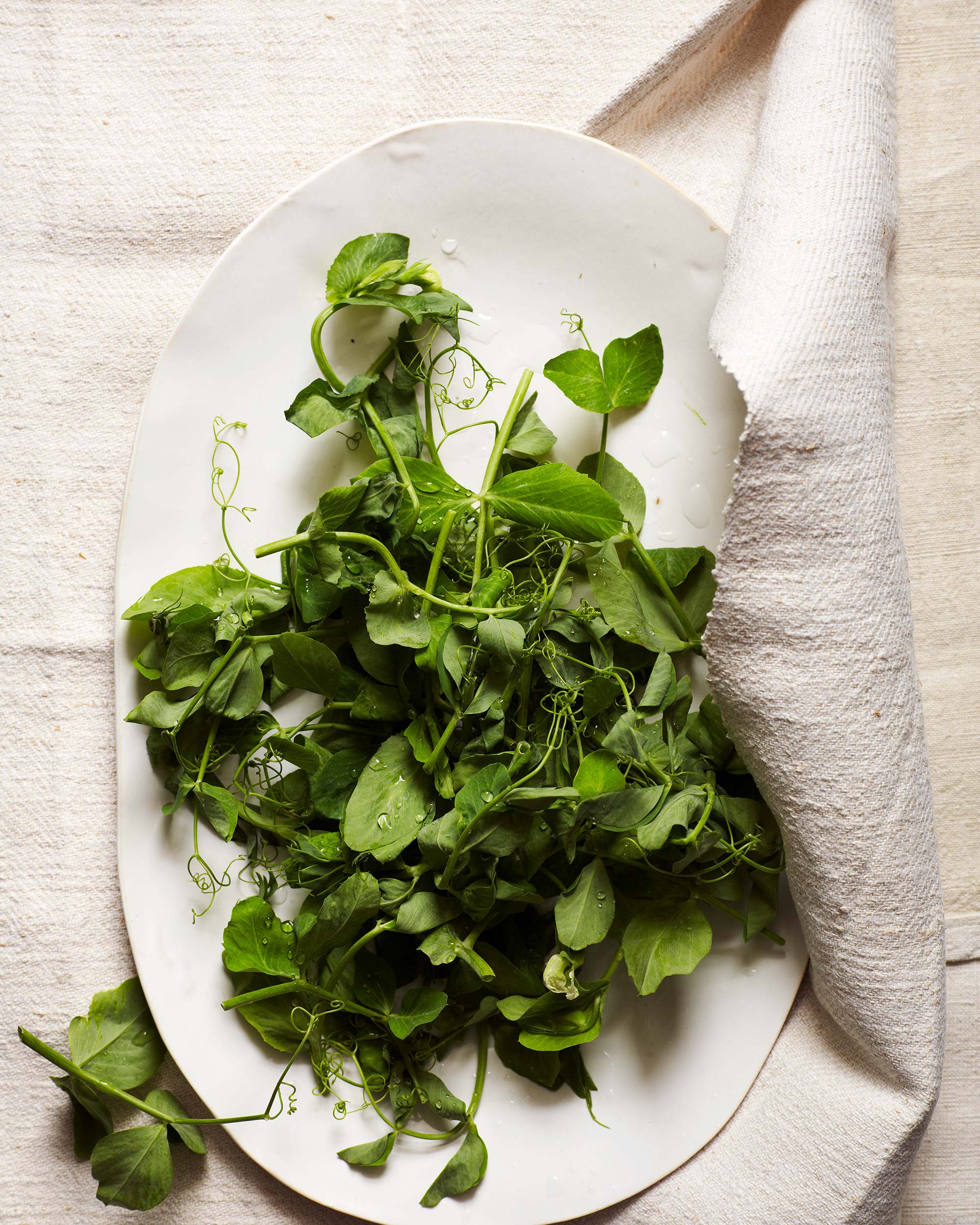 Pea-Shoots_0008.jpg