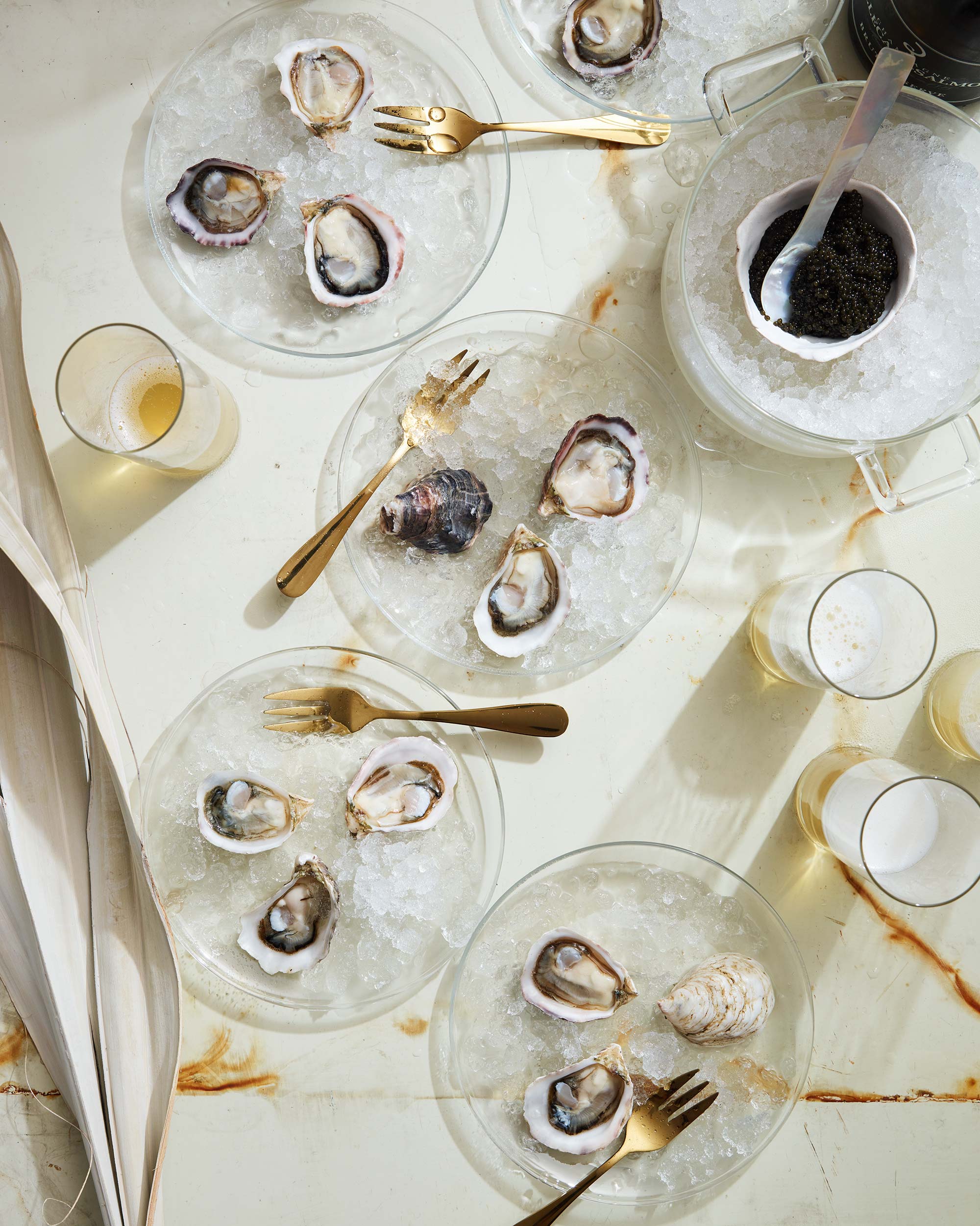 Oyster-Party_0526.jpg