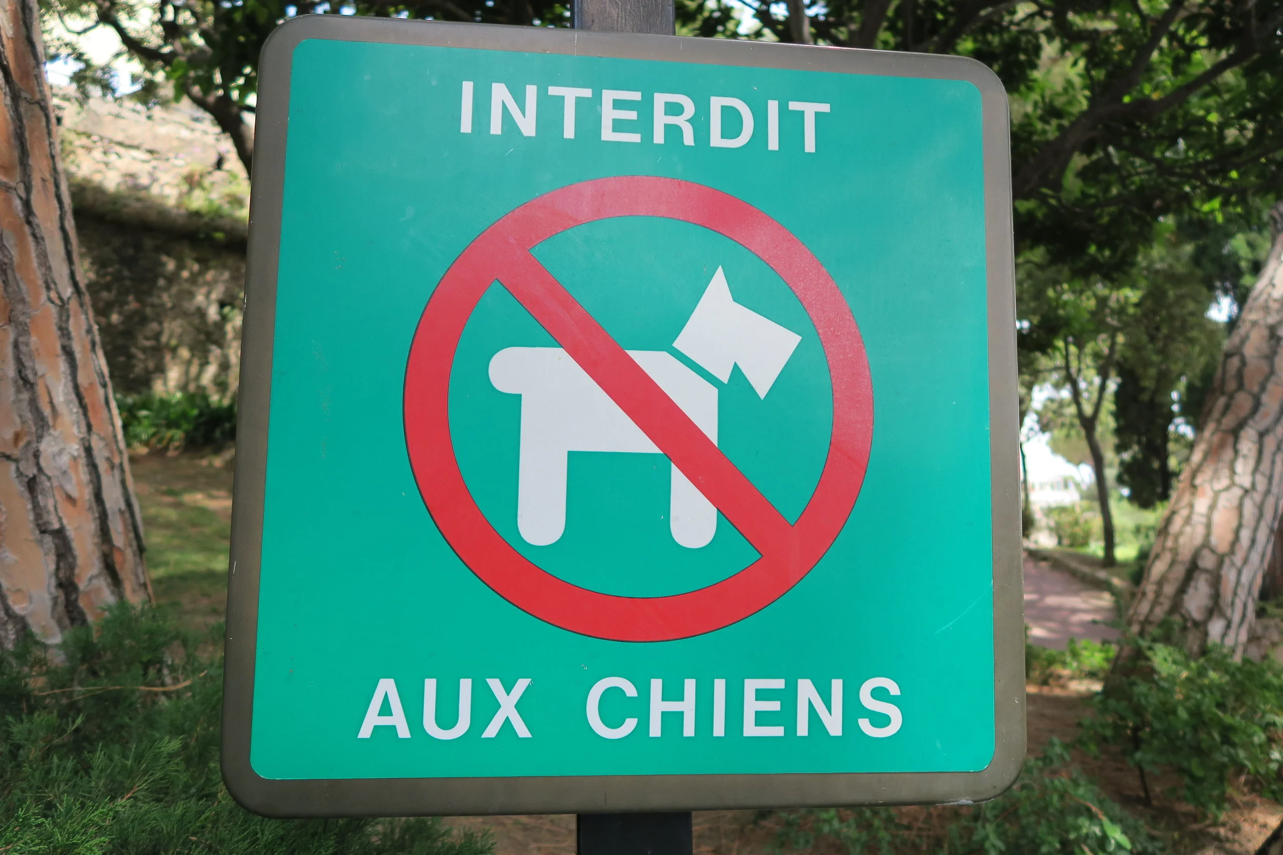 IMG_2637 (2016-07-04T09_16_06.141).JPG