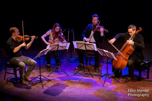 SpektralQuartet_1.29.16_by_ElliotMandel-17.jpg