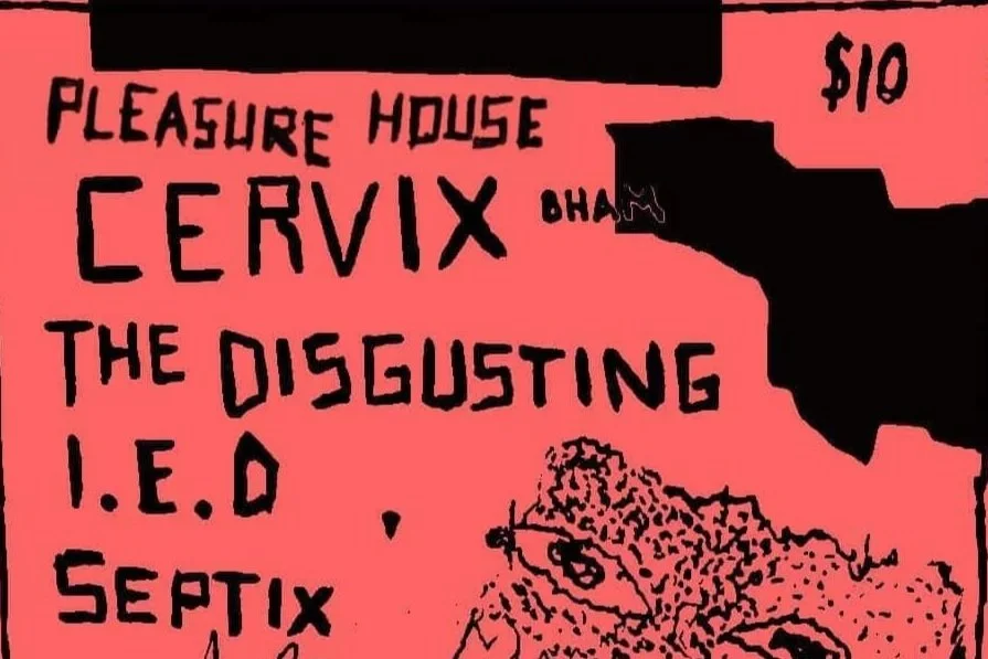 PLEASURE HOUSE w/ CERVIX, THE DISGUSTING, I.E.D. &amp; SEPTIX