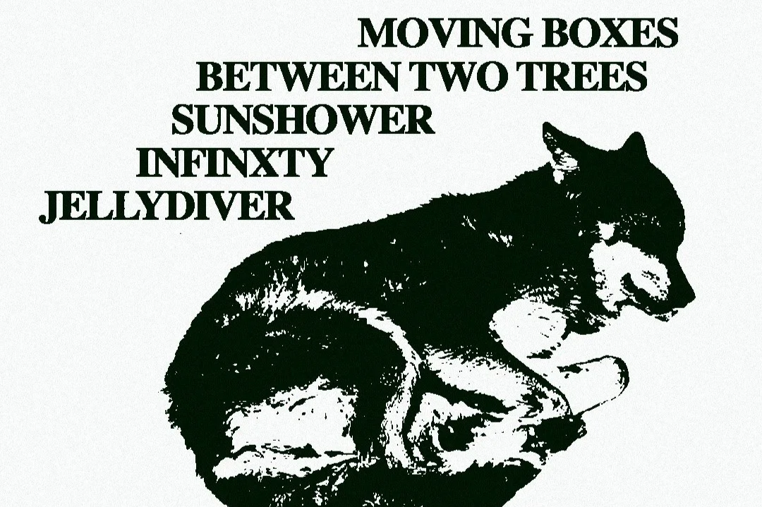 MOVING BOXES w/ BETWEEN TWO TREES, SUNSHOWER, INFINXTY &amp; JELLY DIVER