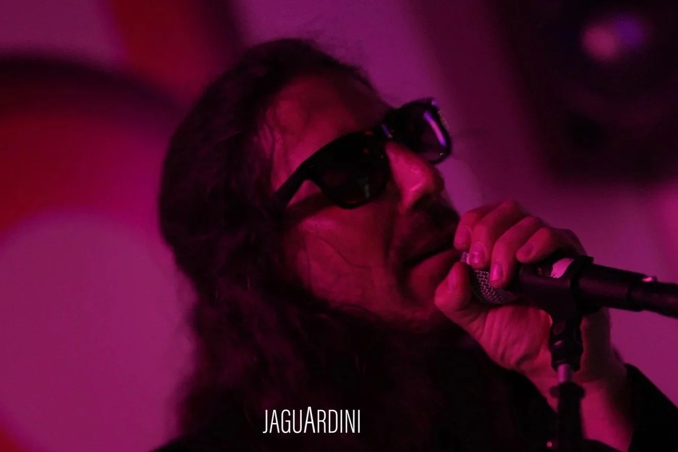 JAGUARDINI &amp; MORE