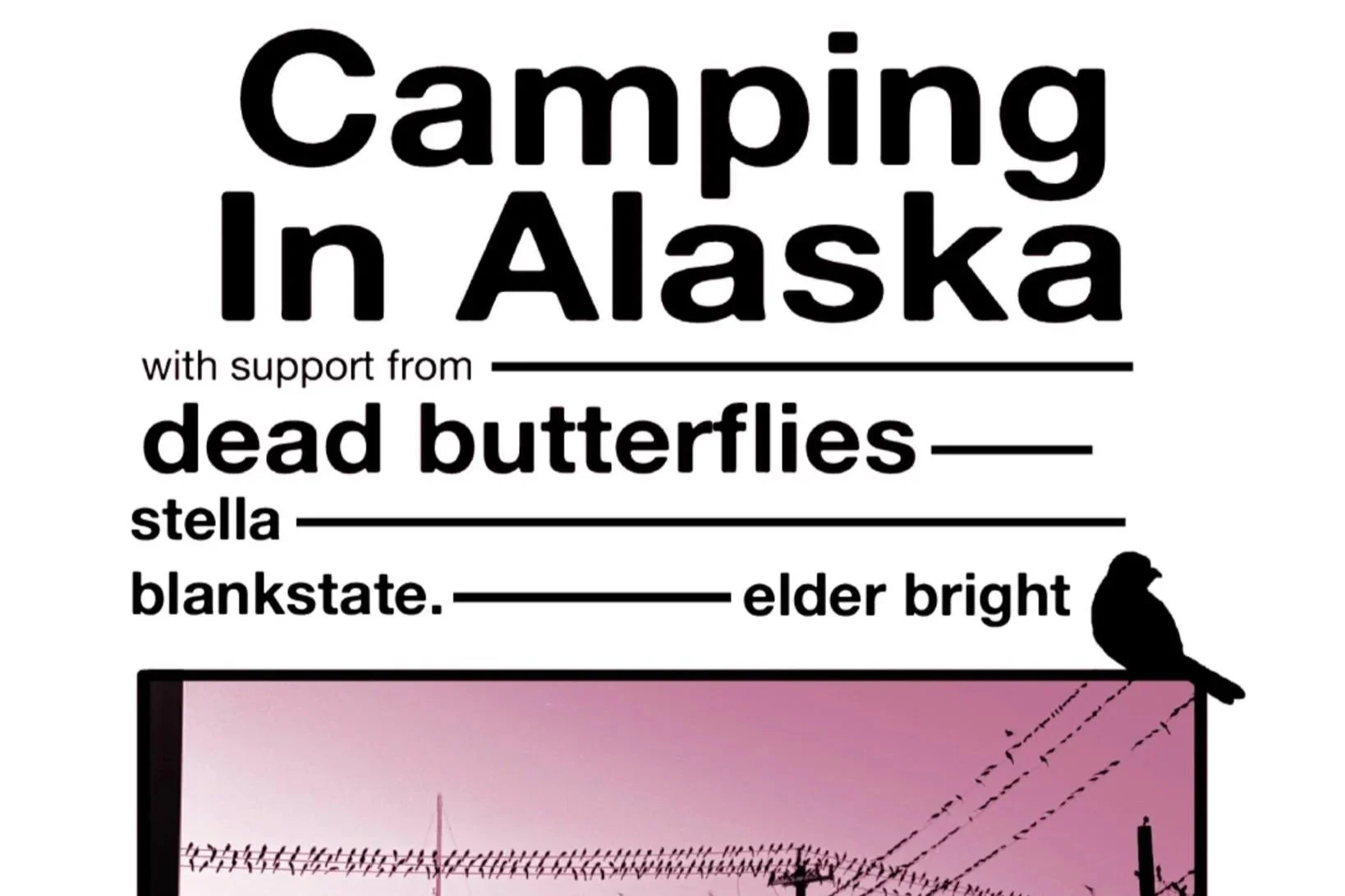 CAMPING IN ALASKA w/ DEAD BUTTERFLIES, STELLA, BLANKSTATE. &amp; ELDER BRIGHT
