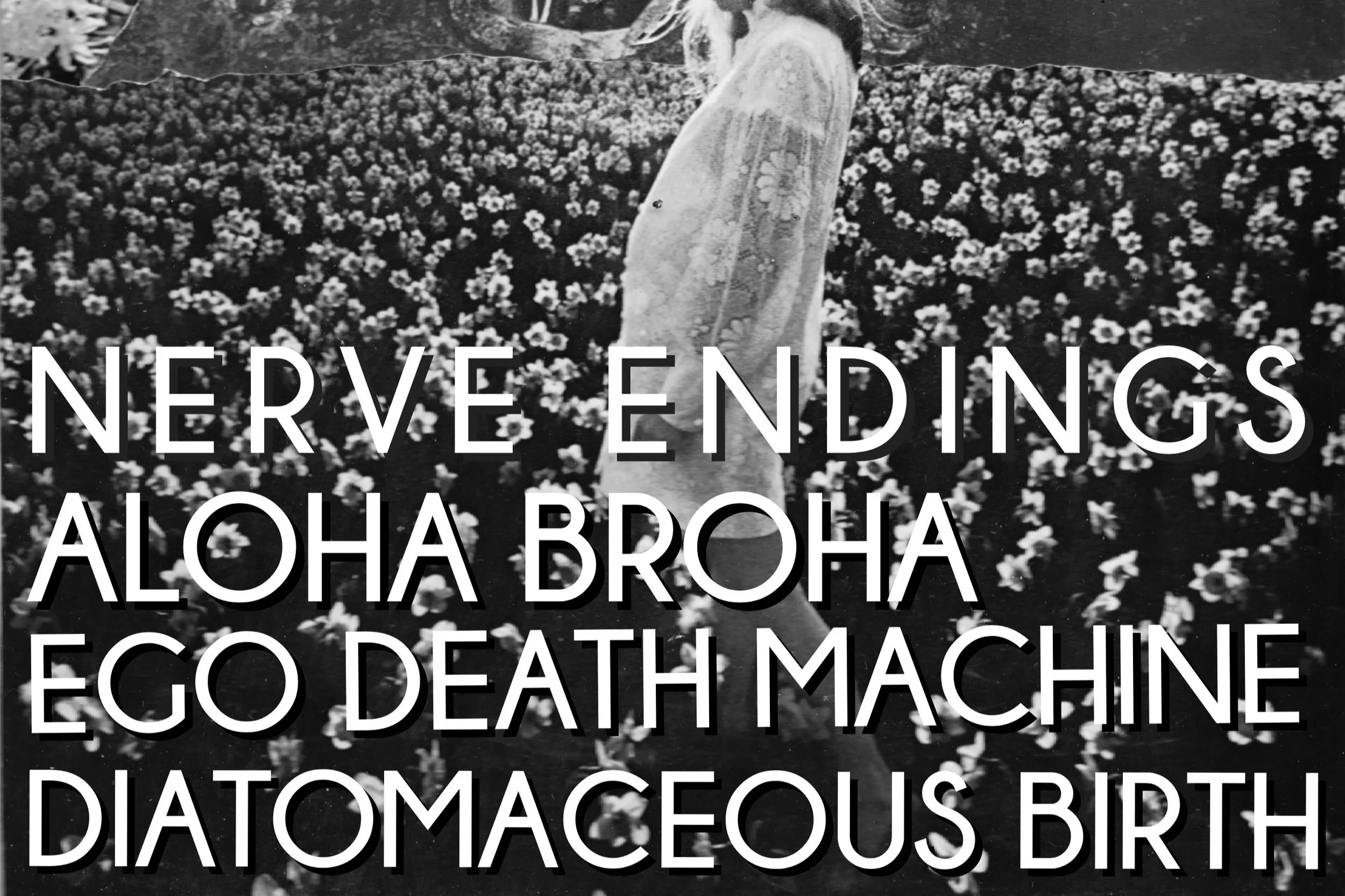 NERVE ENDINGS w/ ALOHA BROHA, EGO DEATH MACHINE &amp; DIATOMACEOUS BIRTH