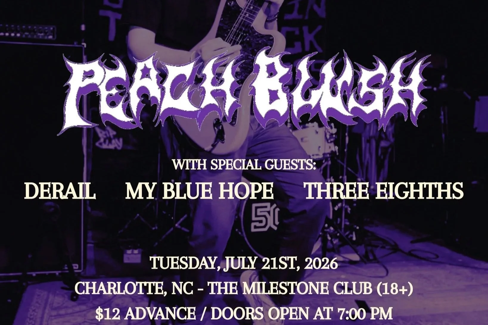 PEACH BLUSH w/ DERAIL, MY BLUE HOPE &amp; THREE EIGHTHS