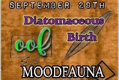 MOOD FAUNA w/ OOF, WHEN THE MONSTER COMES & DIATOMACEOUS BIRTH