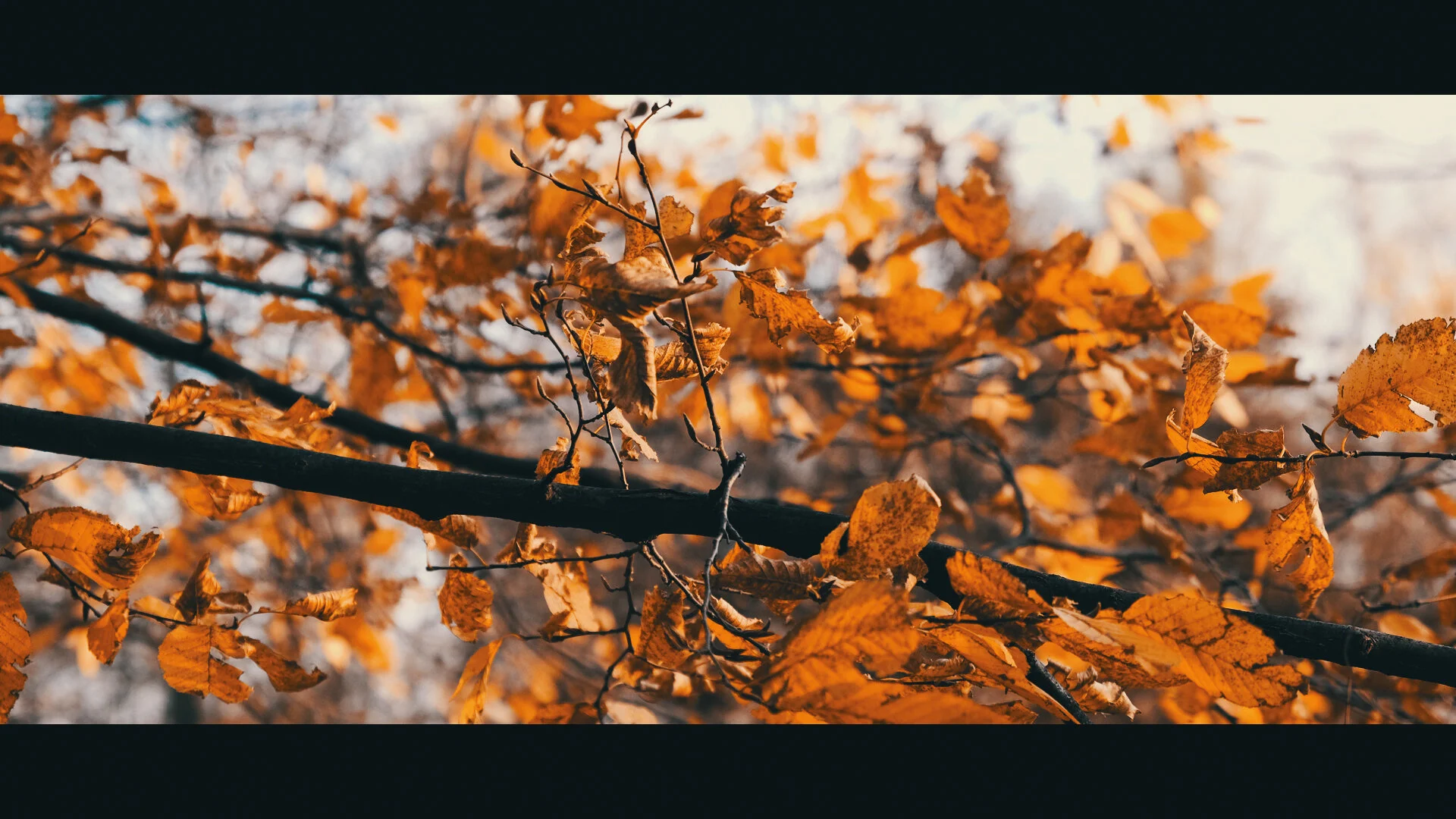 ProspectPark_10.jpg