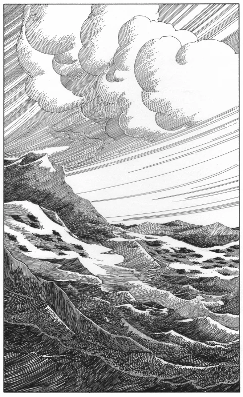 scarabaeus-7.jpg