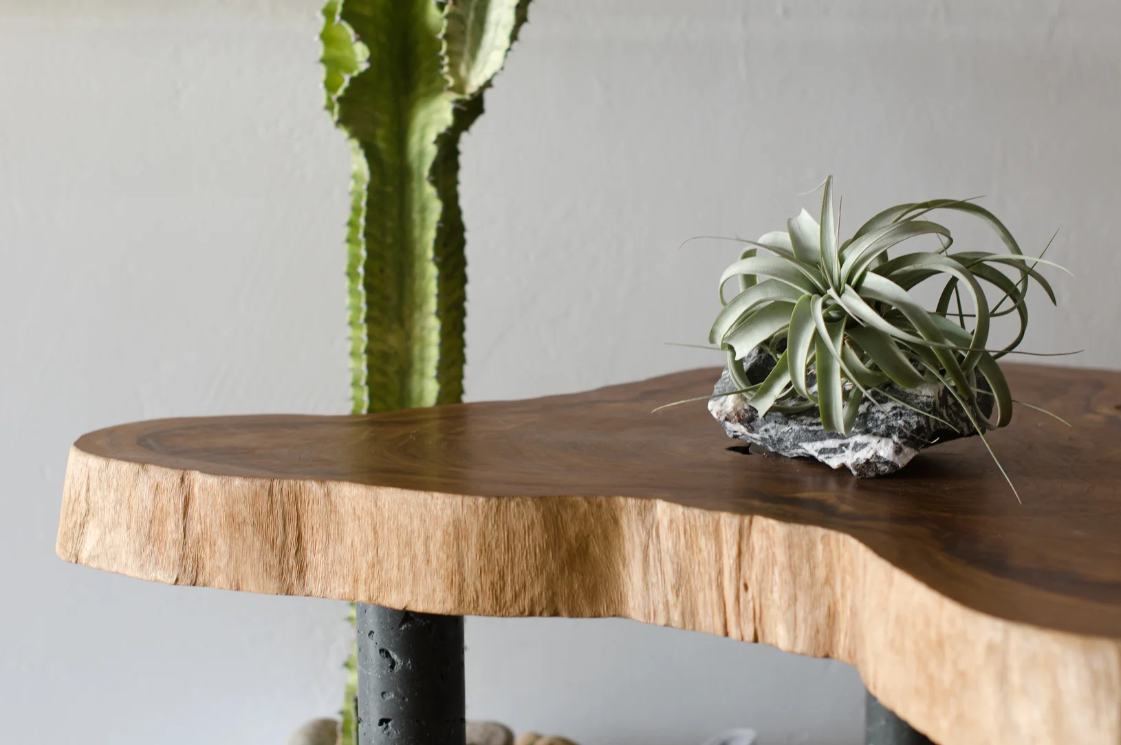 5ing_legacy_table_primavera_euphorbia.jpg