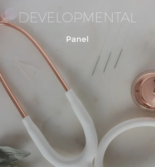 developmental panel.jpg