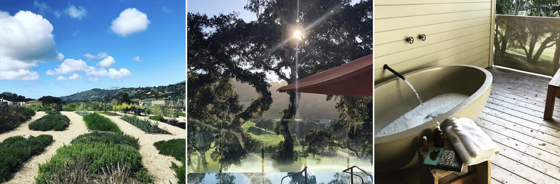 image from carmel valley ranch instagram