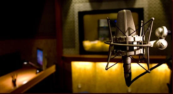 Voice Direction