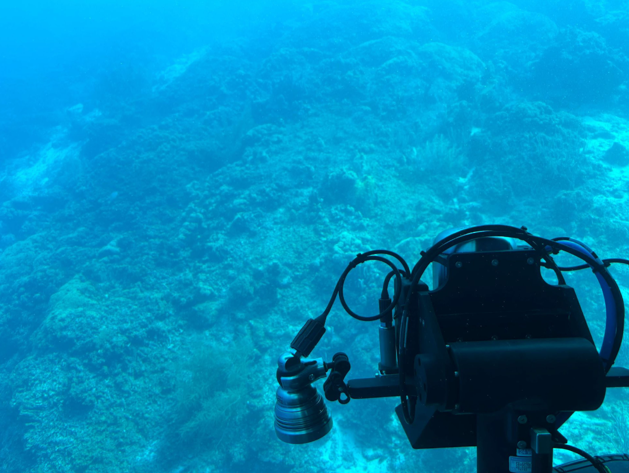 Screenshot 2026-03-18 at 10.29.10.png